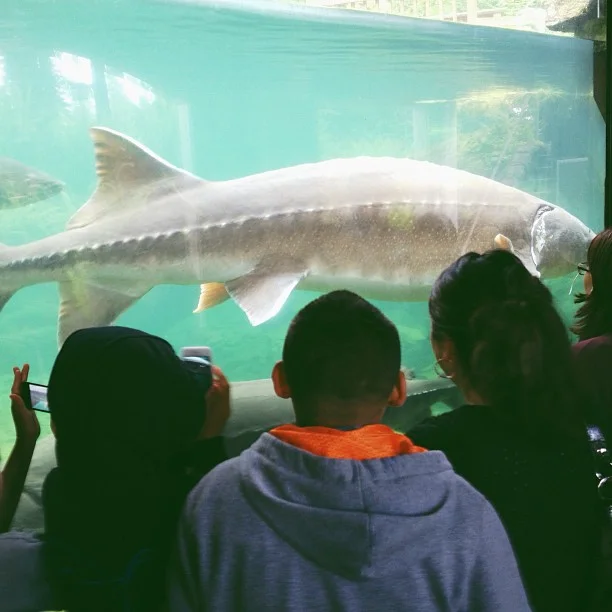 2013-05-26_1369537805.jpg