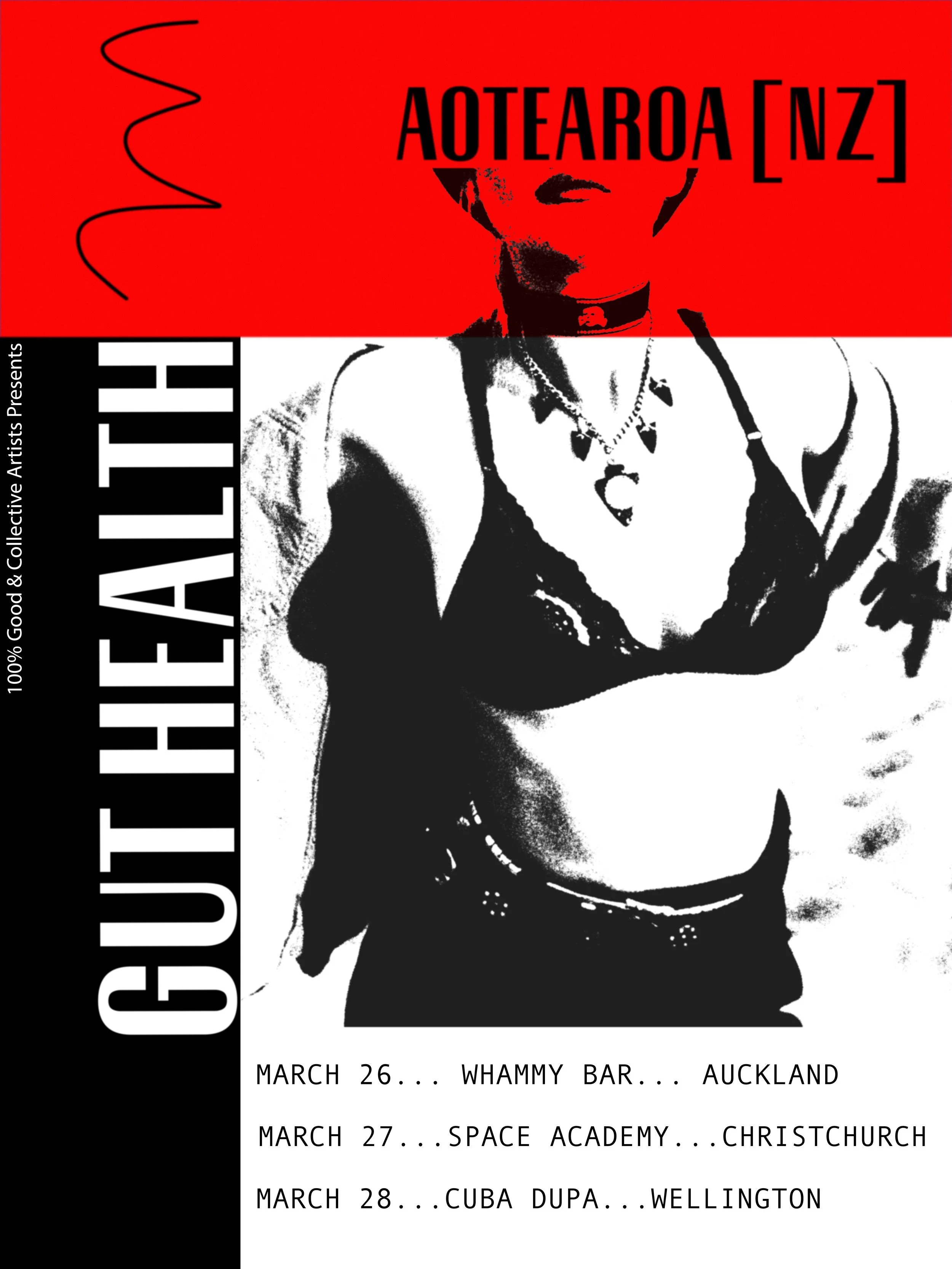 NZ_Poster2.jpg