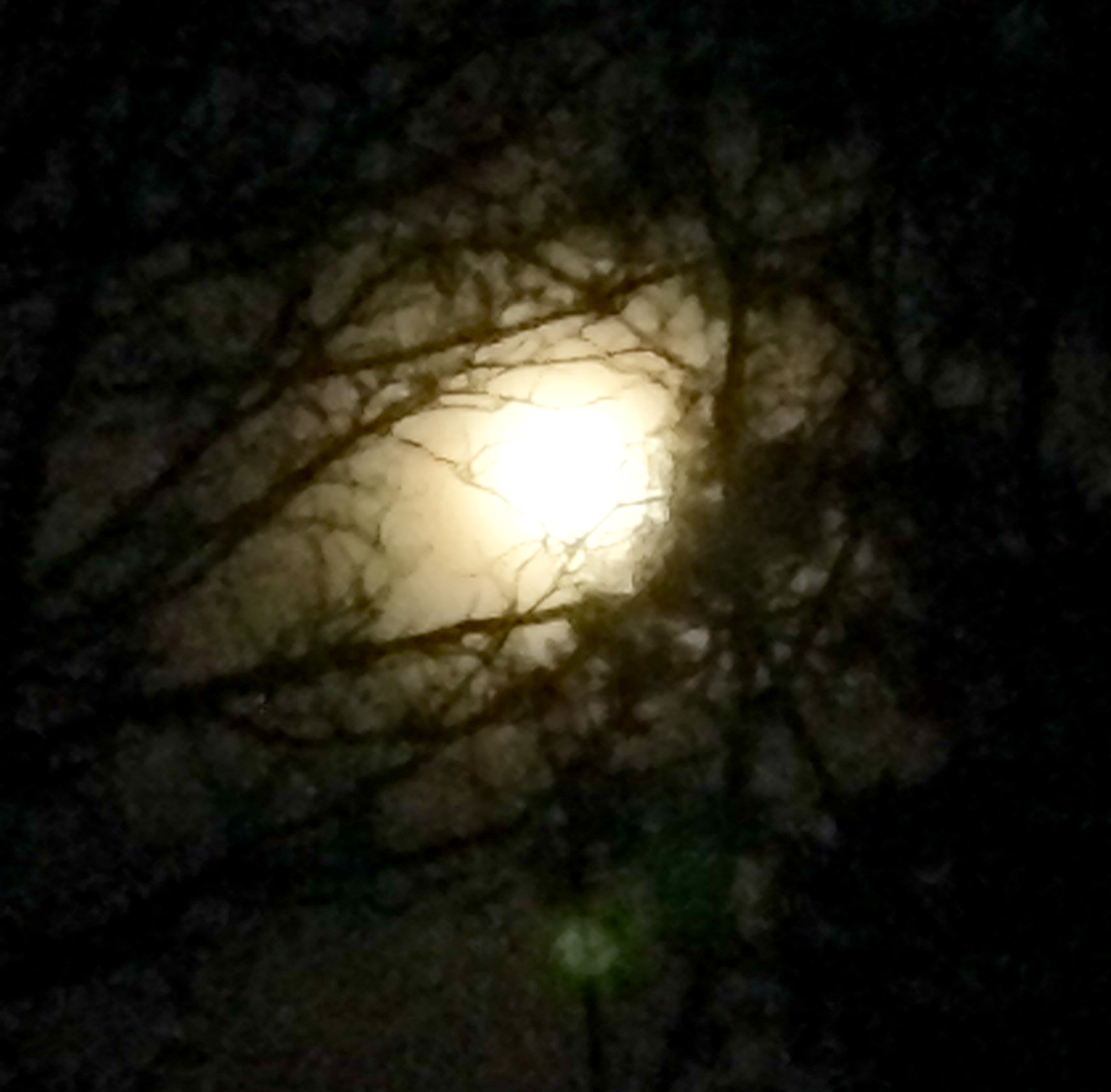 Penumbral Lunar Eclipse
