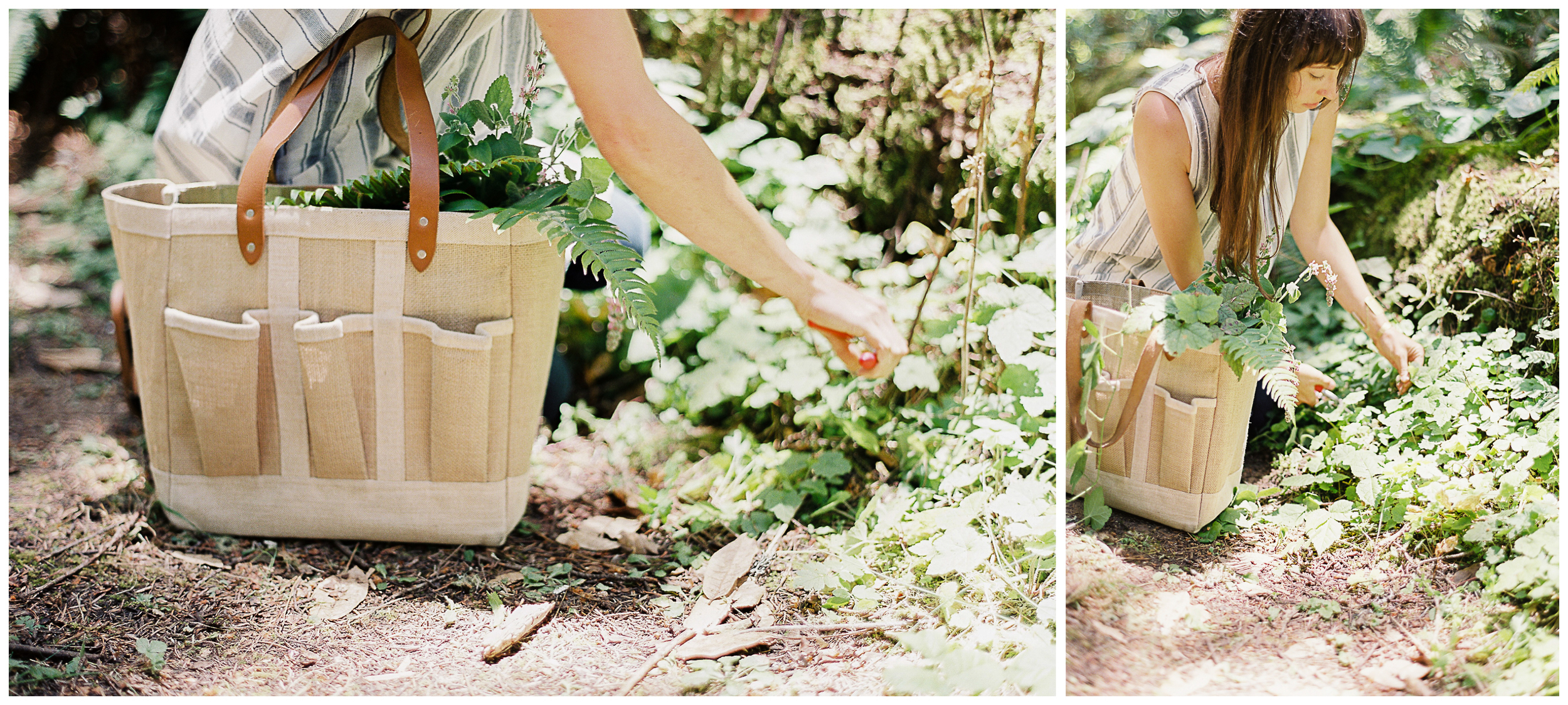 Meghan Mehan Fine Art Film Photography | San Francisco | Napa | Sonoma - blog layout 2up2.jpg