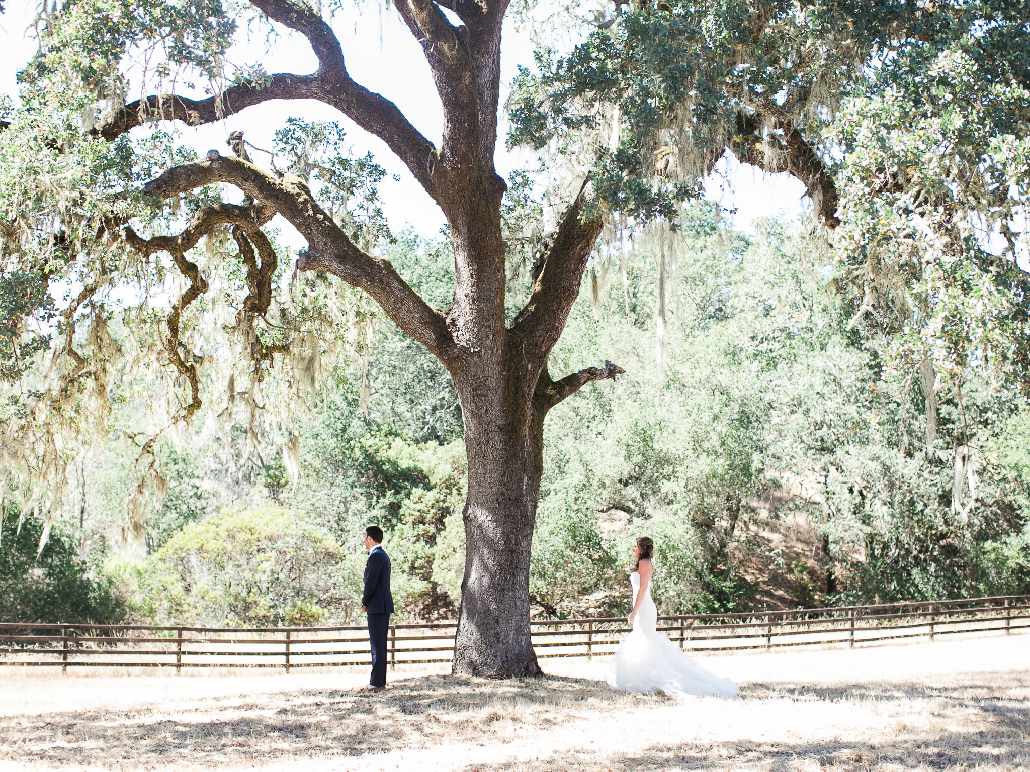 Meghan Mehan Photography - Fine Art Film Wedding Photography - San Francisco | Napa | Sonoma | Big Sur | Chicago | Minneapolis | Milwaukee | Lake Geneva | Door County | Wisconsin 009.jpg