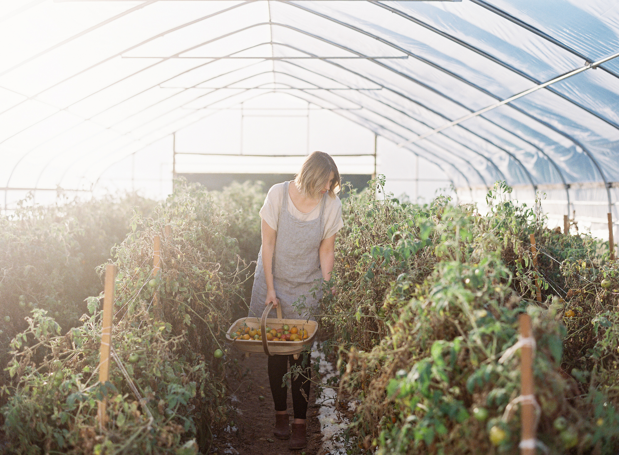 Meghan Mehan Photography - Fine Art Film Wedding Photography - San Francisco | Napa | Sonoma | Big Sur | Chicago | Minneapolis | Milwaukee | Lake Geneva | Door County | Wisconsin 005.jpg