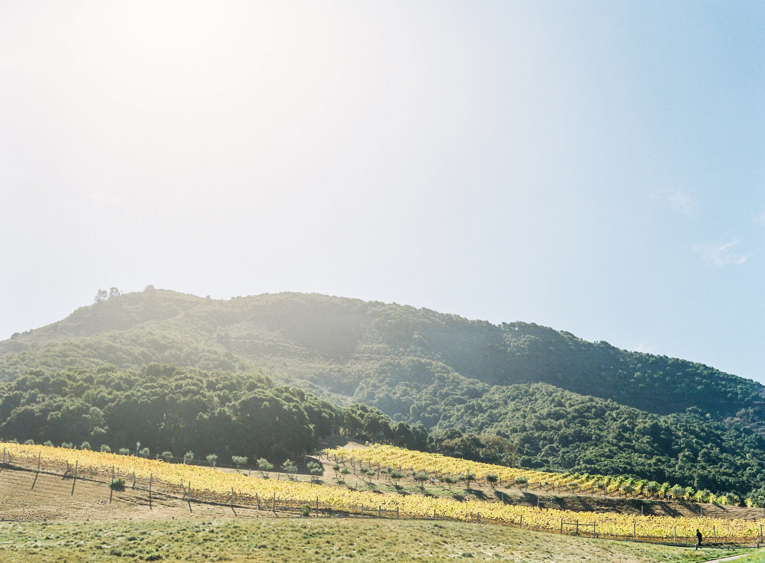 Meghan Mehan Photography - Carmel Valley Ranch Wedding 001.jpg