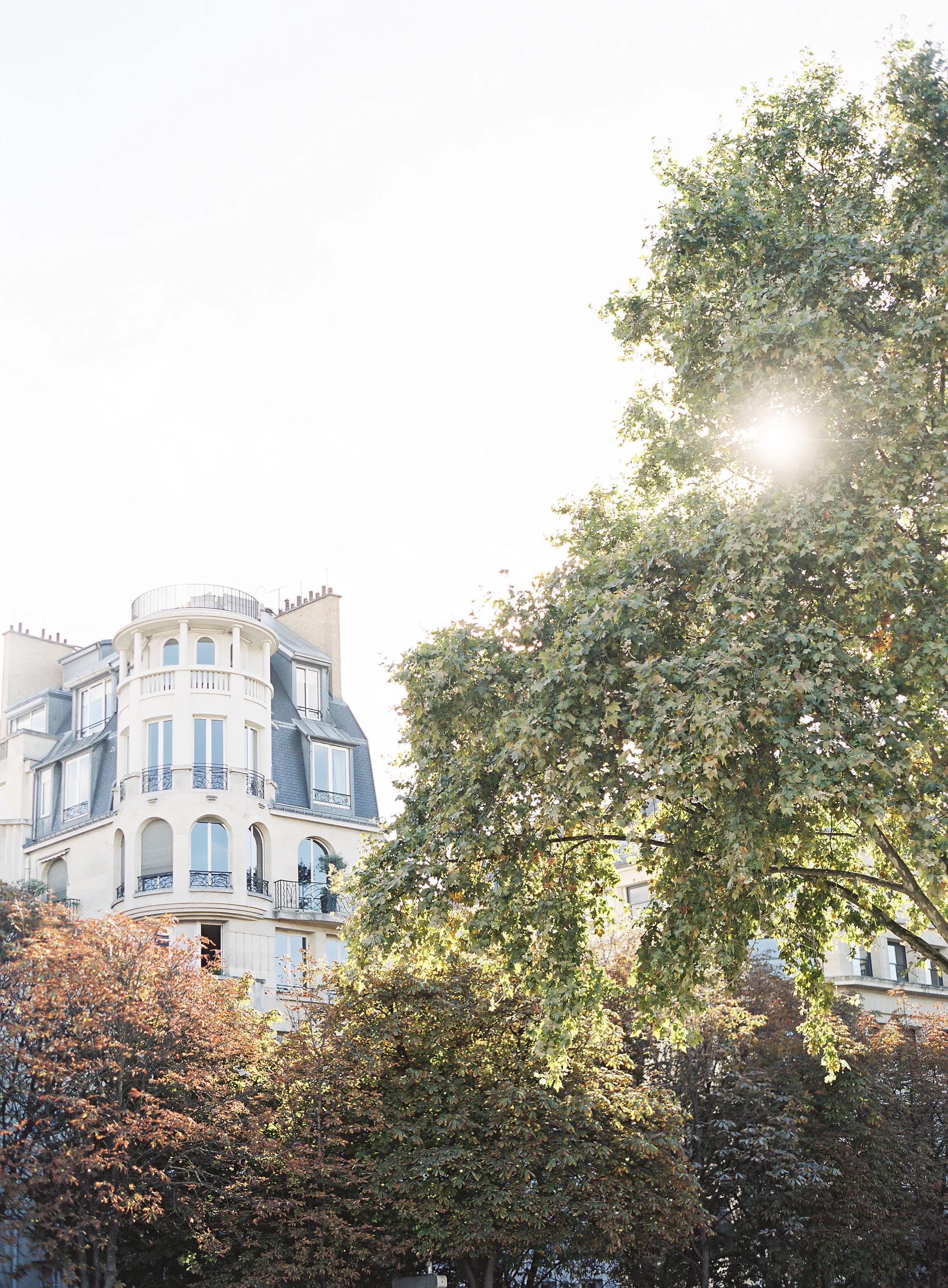 Light in Paris_Meghan Mehan.jpg