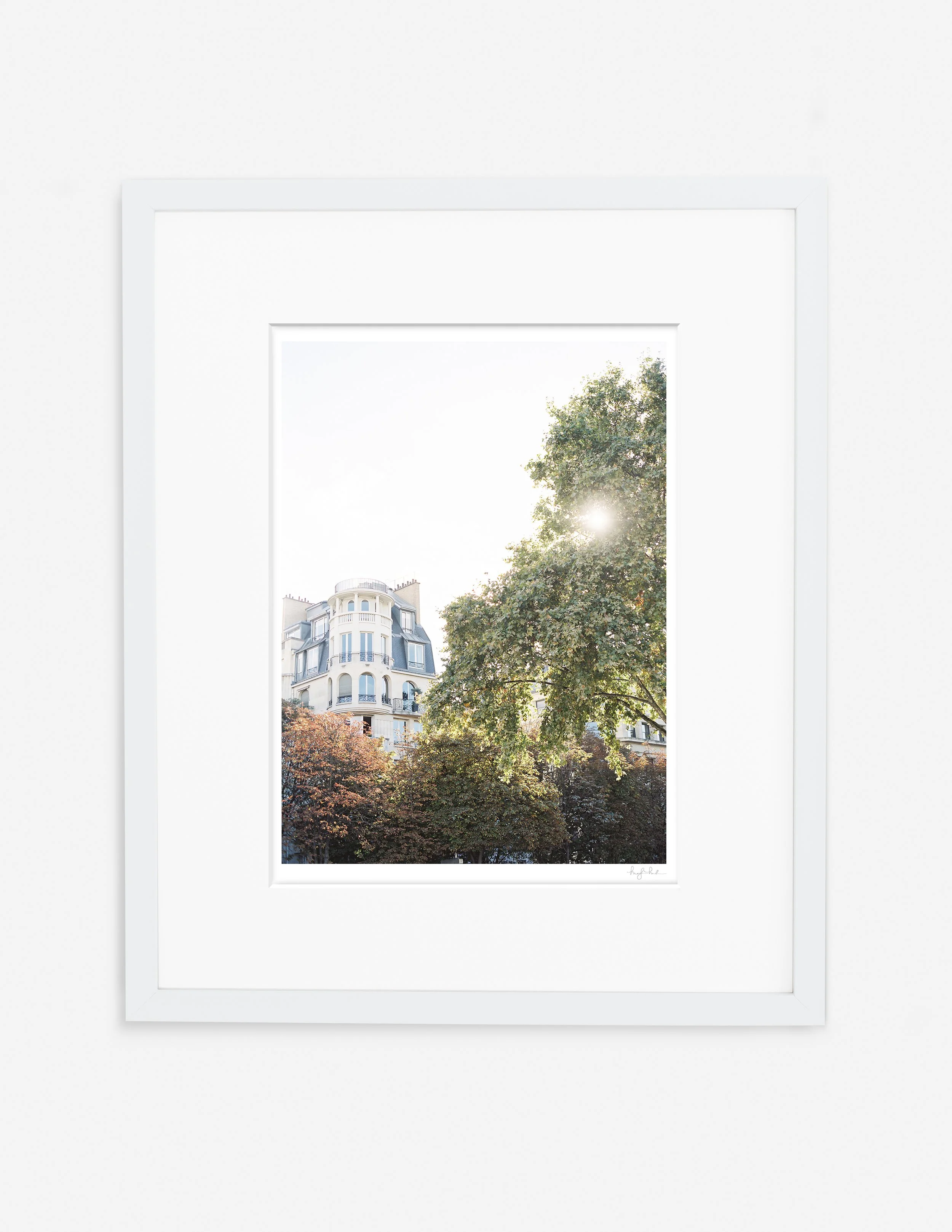 Light in Paris_Gallery White.jpg