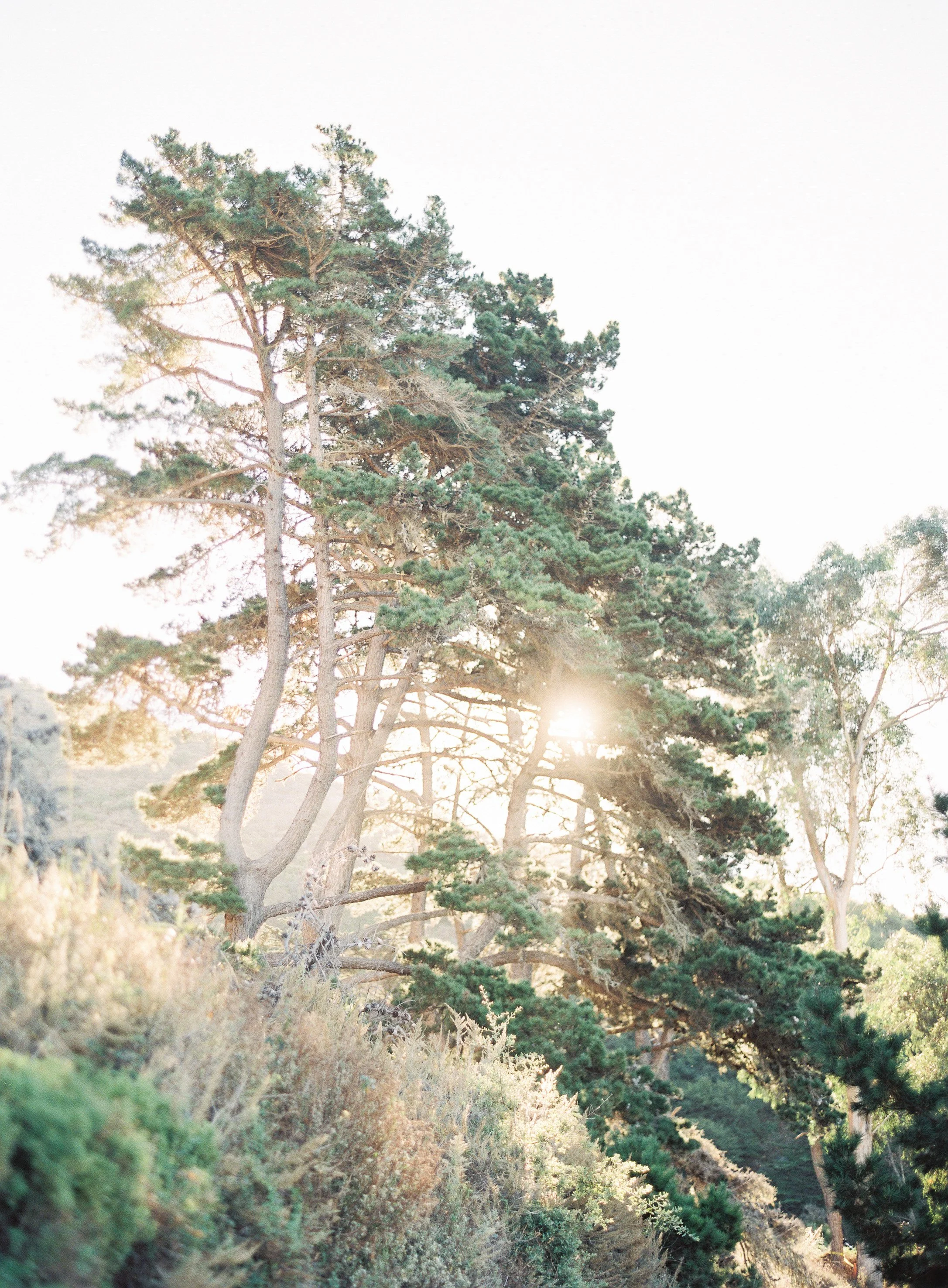 Big Sur Sunrise_Meghan Mehan.jpg