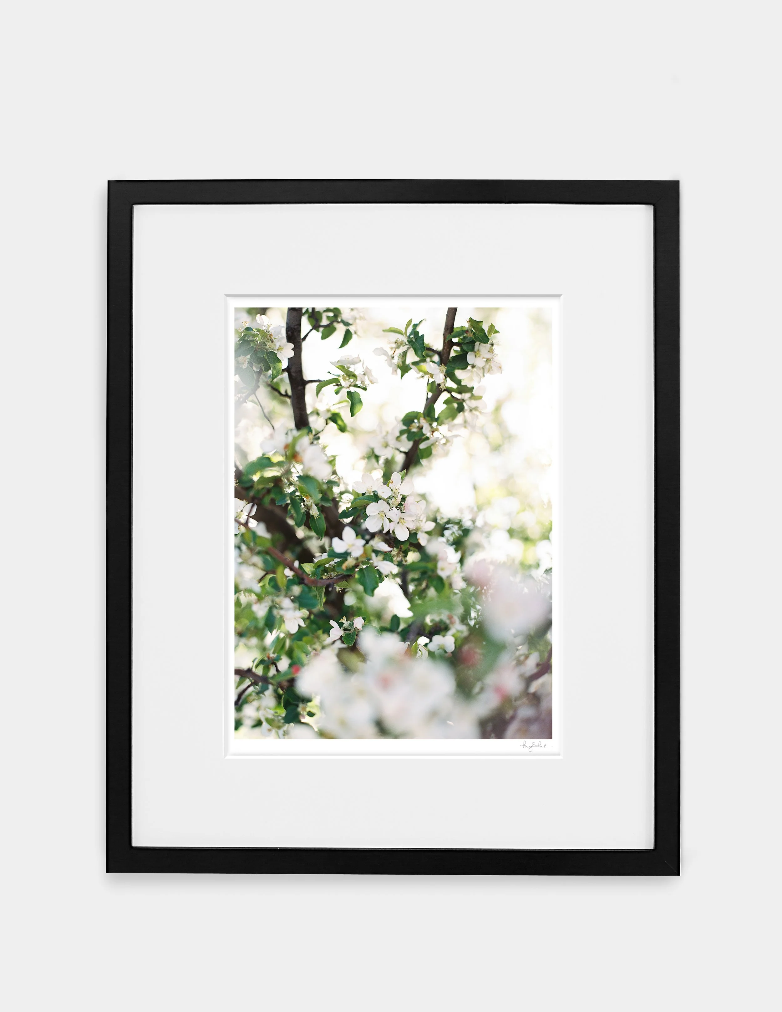 Flowering Branches 1_Gallery Black.jpg