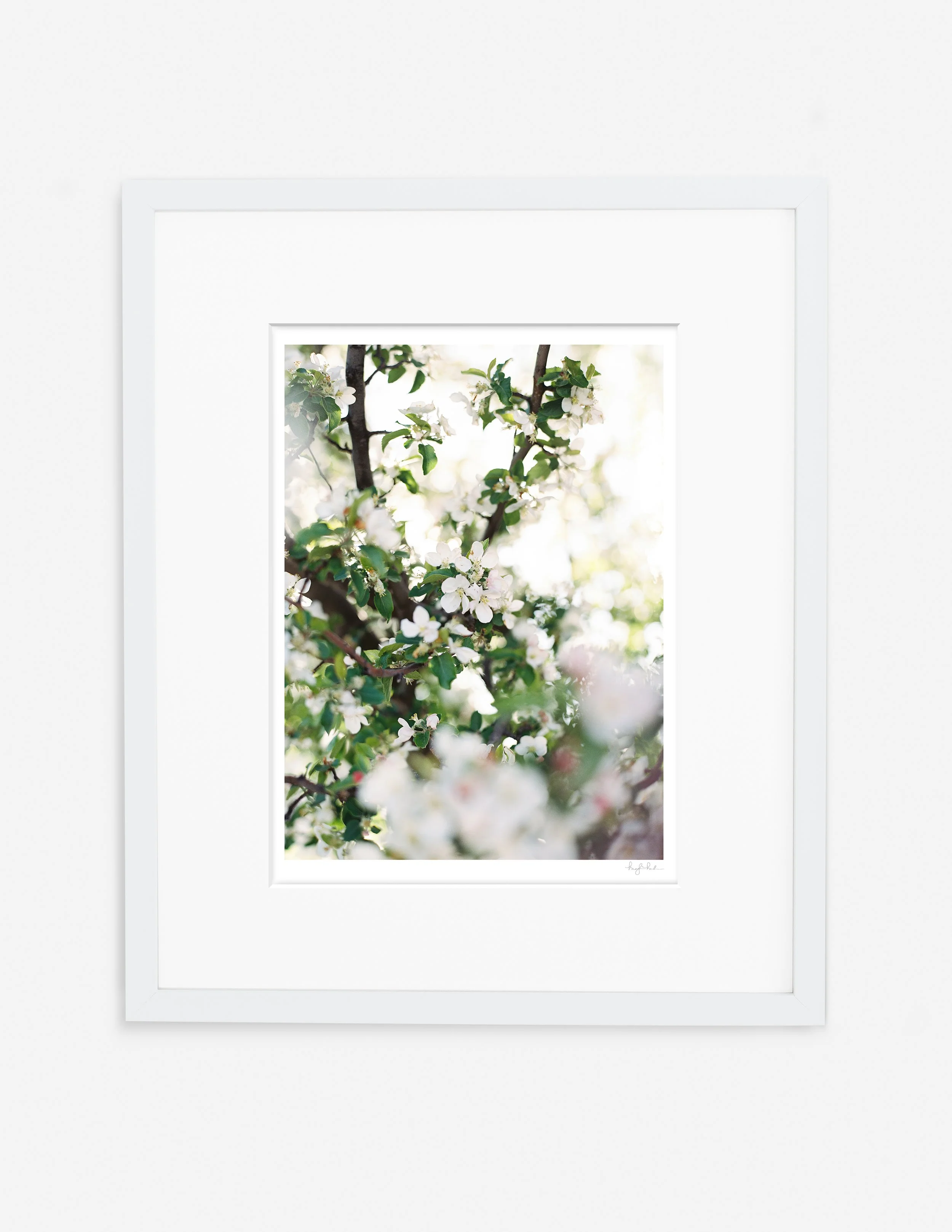 Flowering Branches 1_Gallery White.jpg