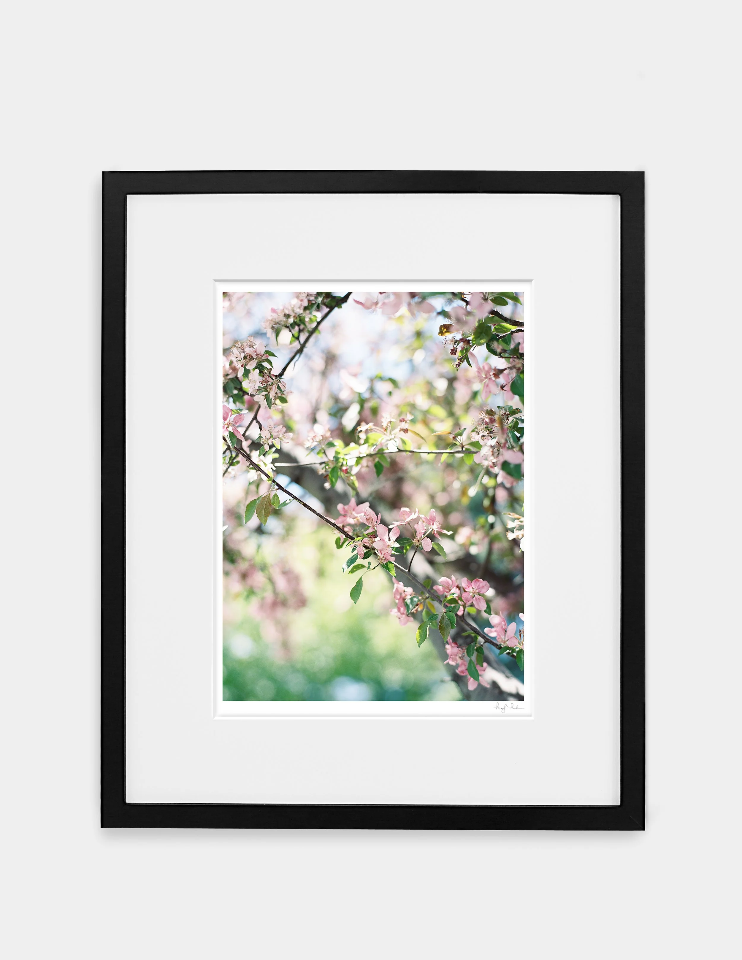 Flowering Branches 2_Gallery Black.jpg