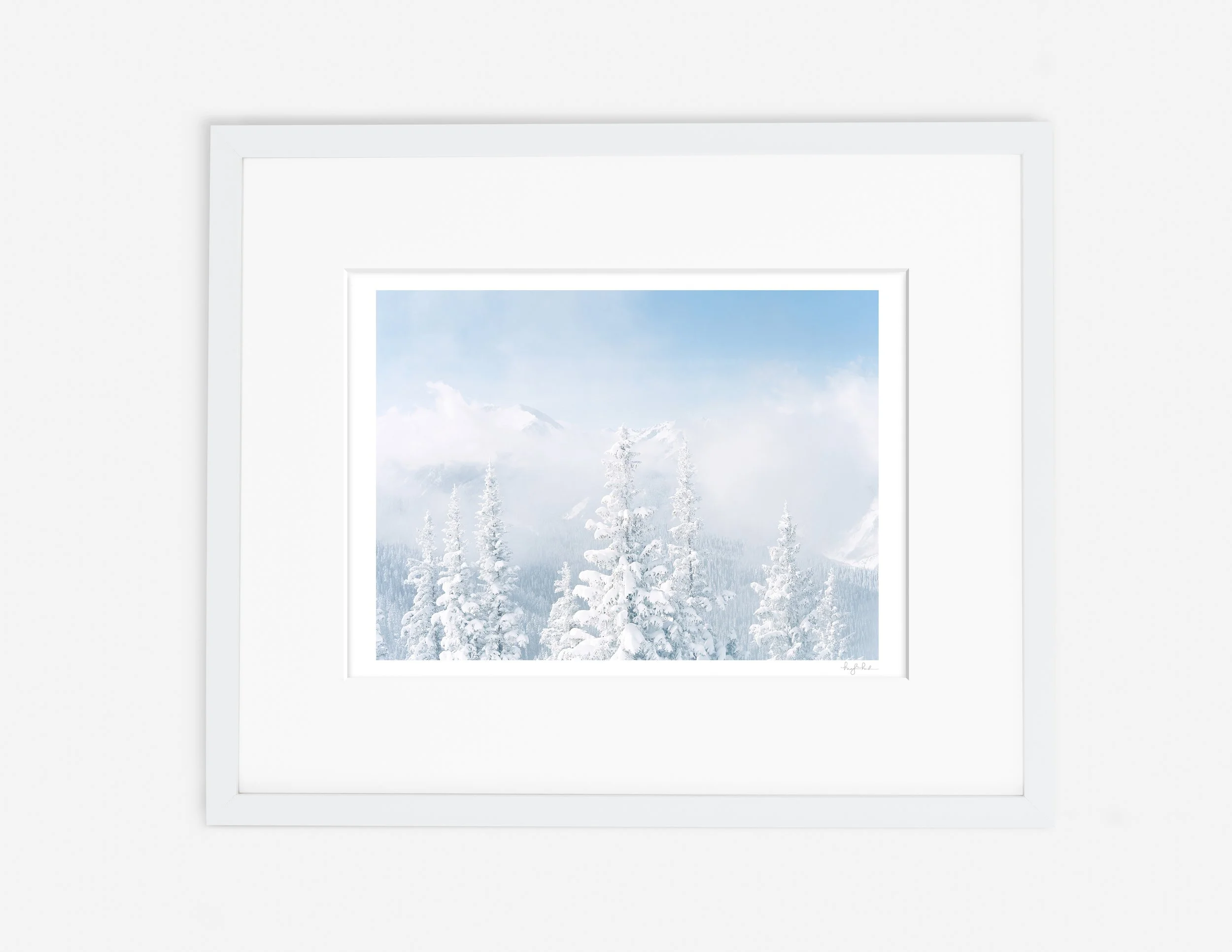 Pines and Peaks_Gallery White.jpg