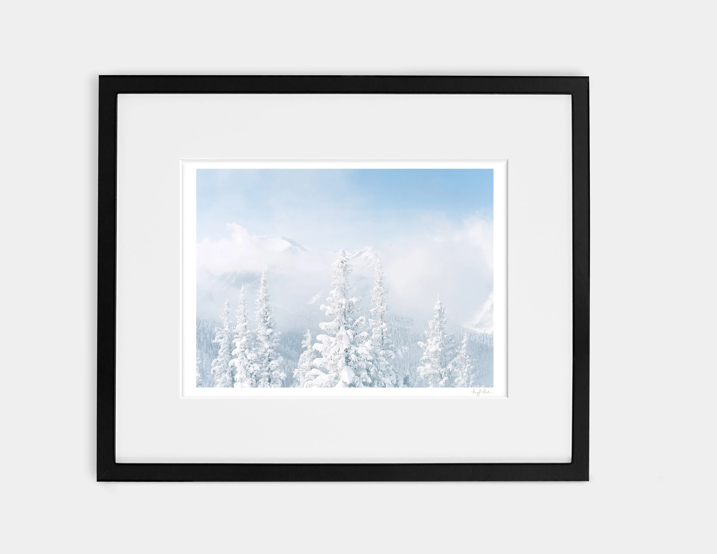 Pines and Peaks_Gallery Black.jpg