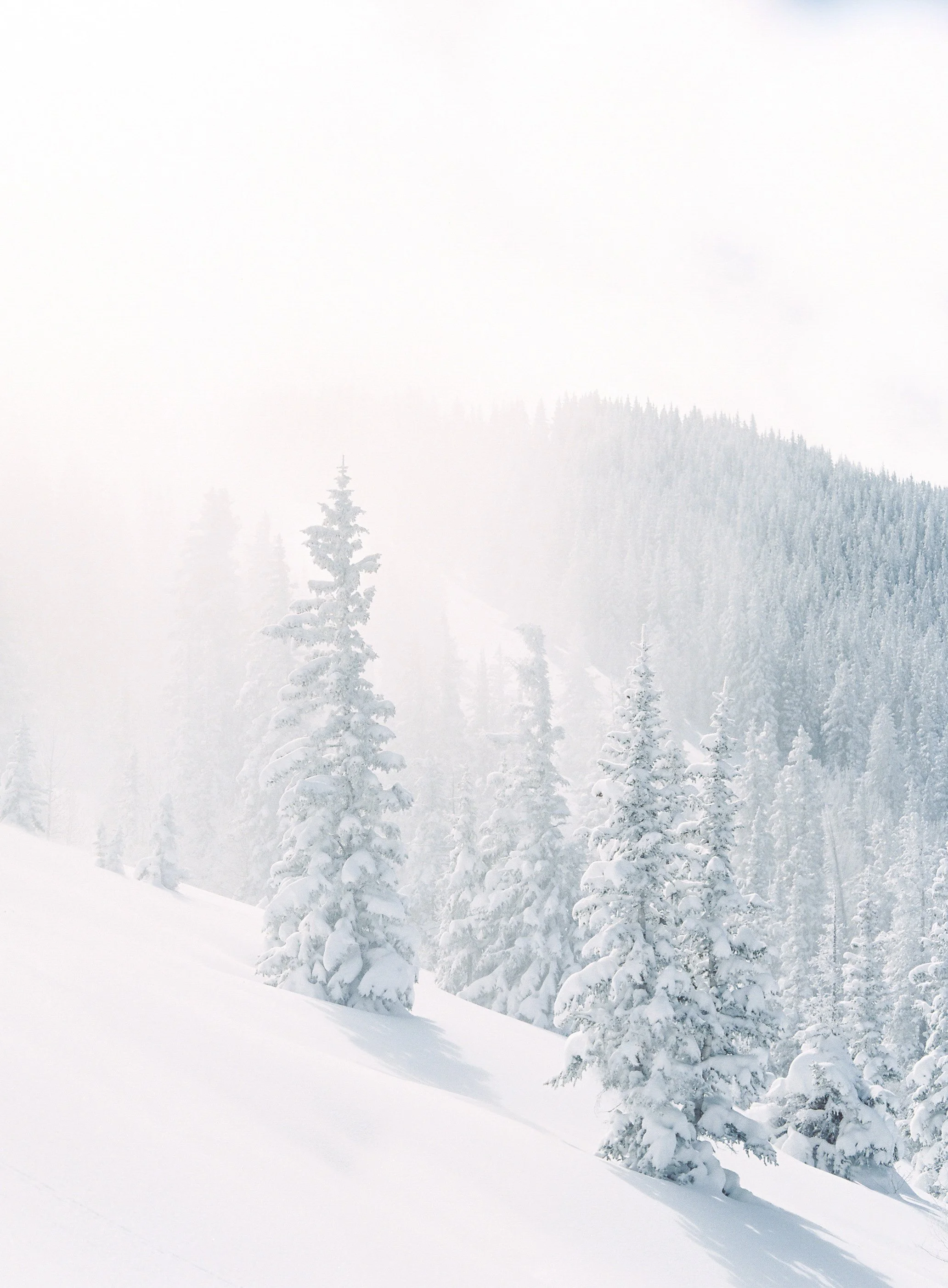 Mountain Light_Meghan Mehan.jpg