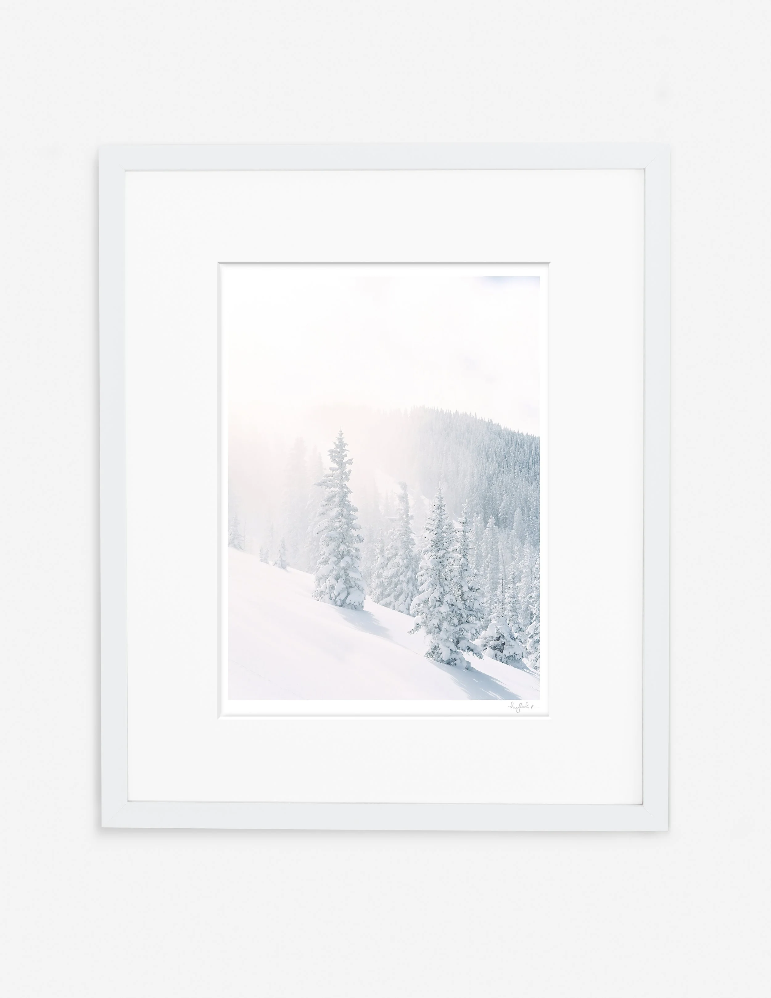 Mountain Light_Gallery White.jpg