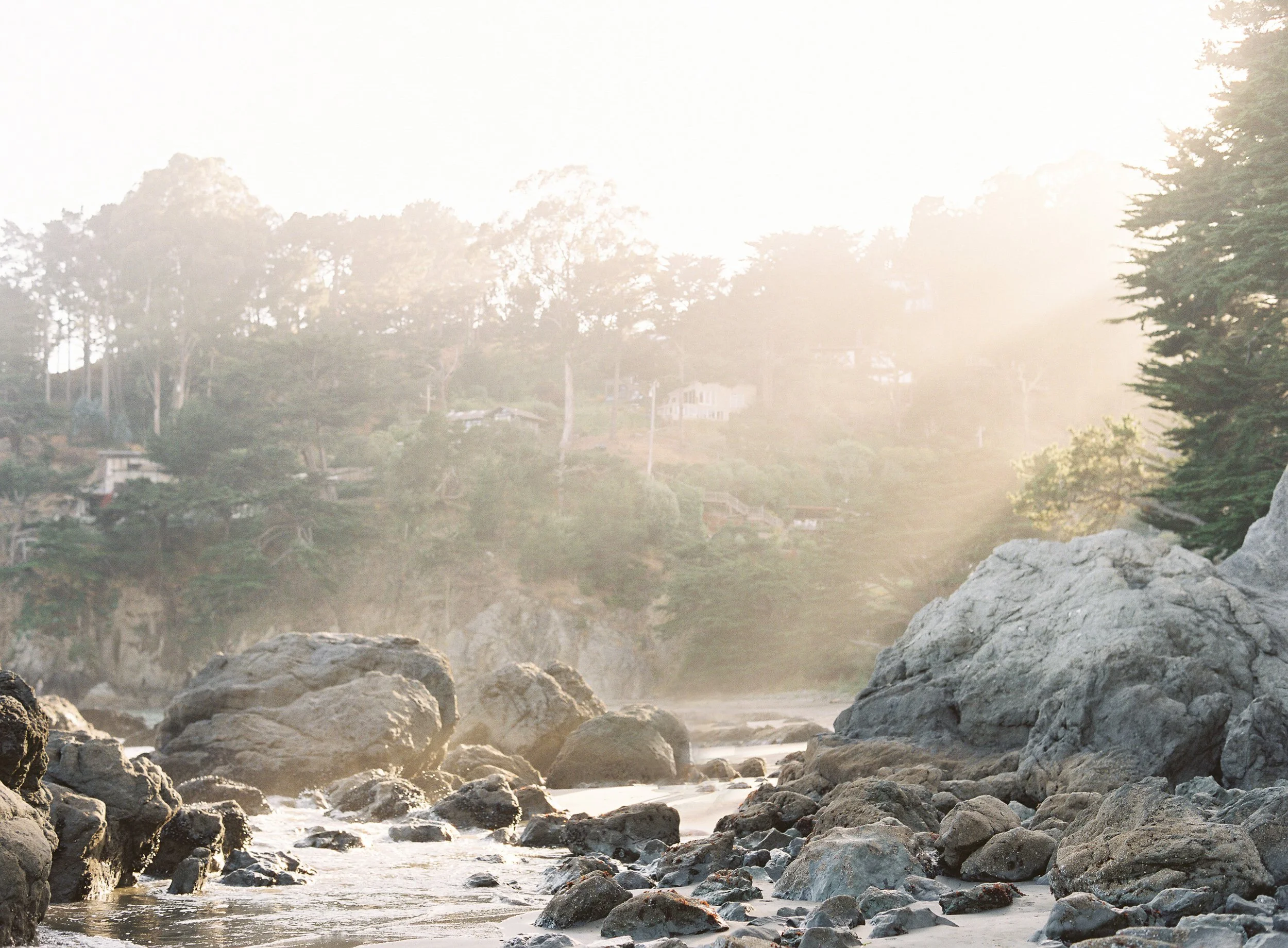 Muir Beach No. 2_Meghan Mehan.jpg