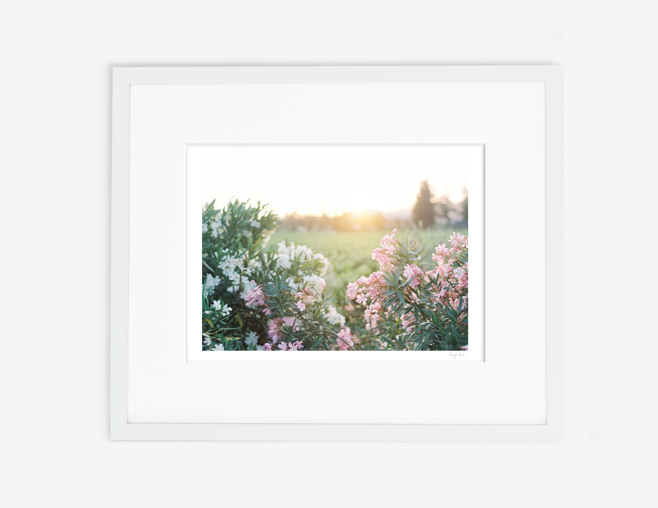 Last Light of Day_Gallery White.jpg