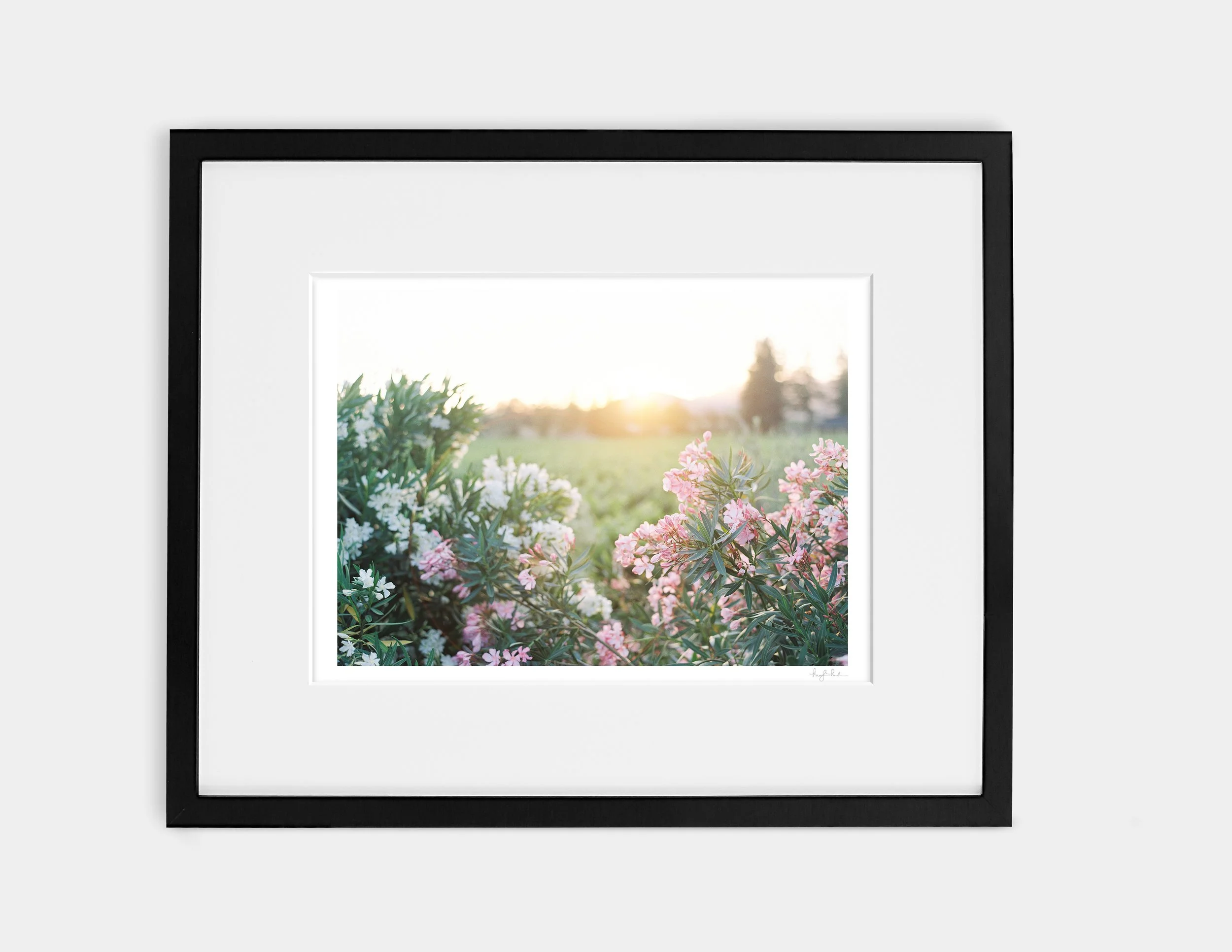 Last Light of Day_Gallery Black.jpg