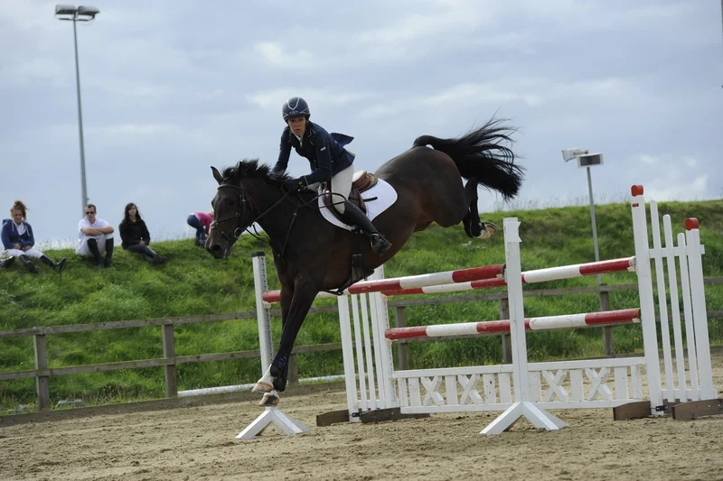 Emma's first Foxhunter - Crofton Manor