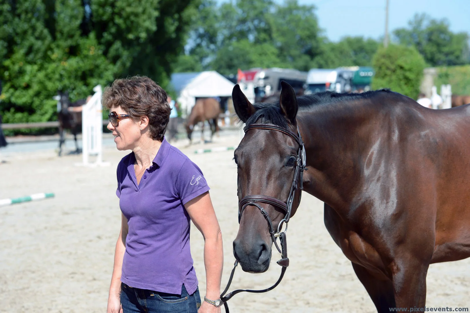 Emma - Trot-up