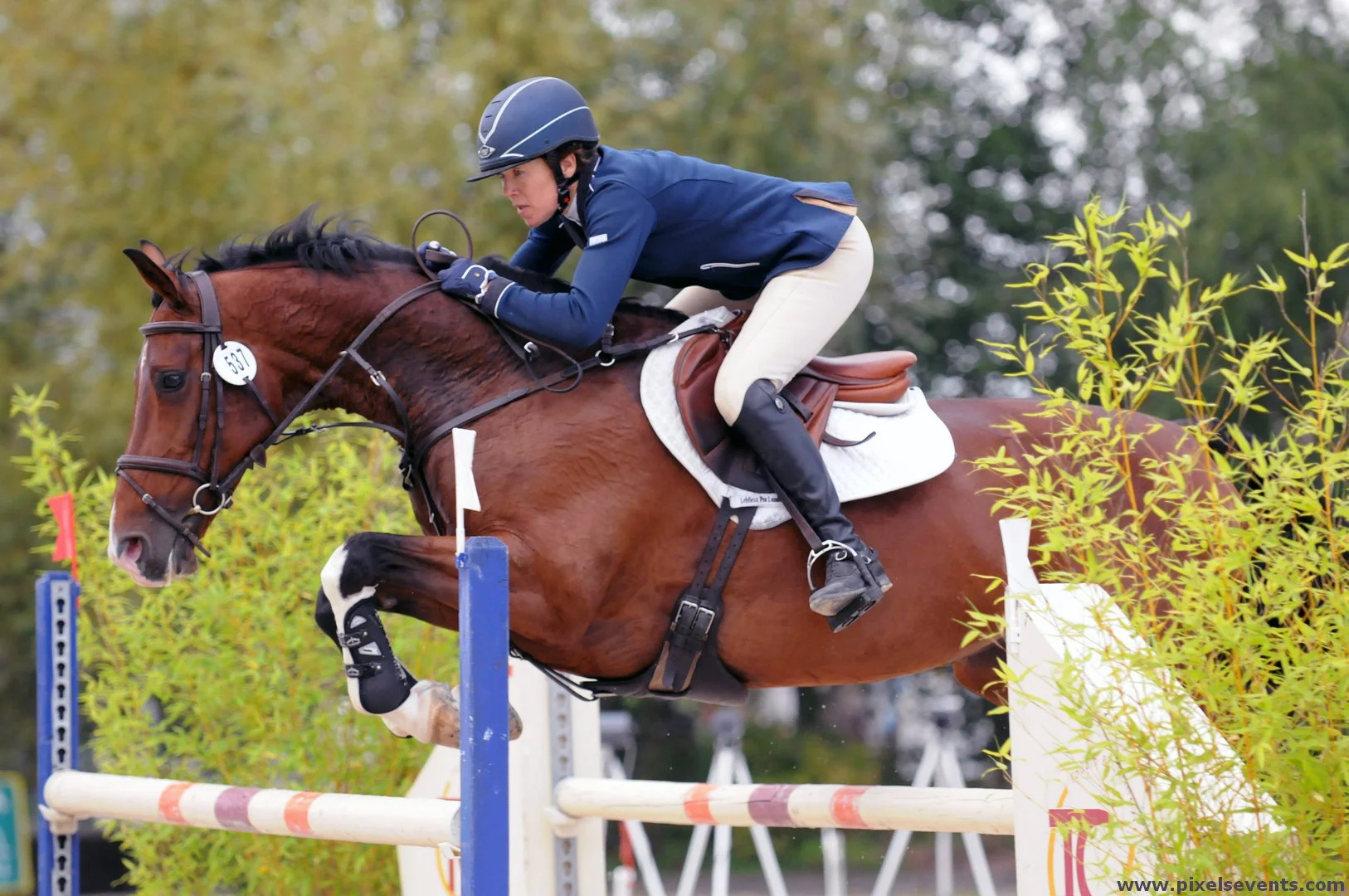 Ferro Auvers CSI** 2013