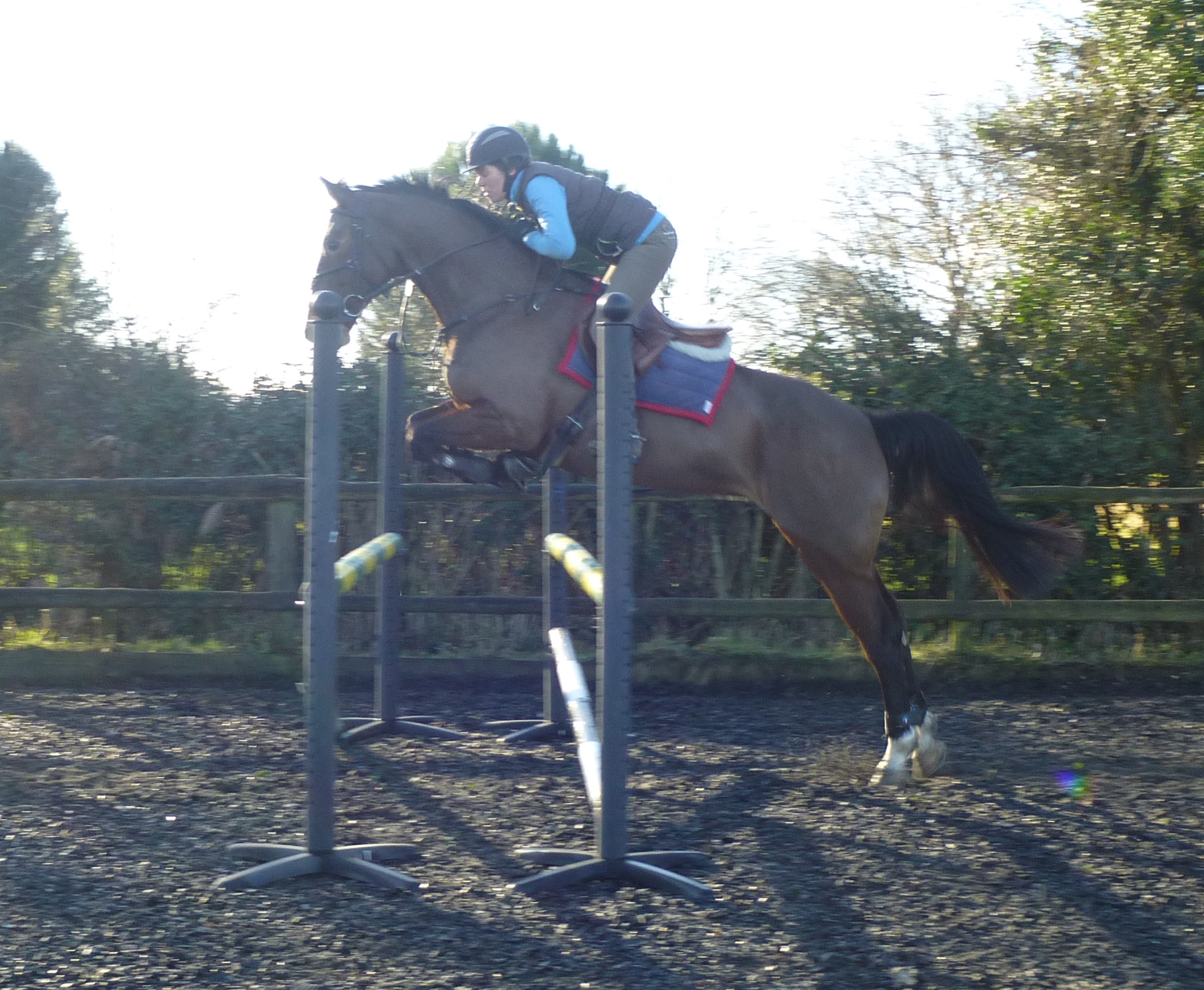 Luendi looking very grown up having a jump at home.
