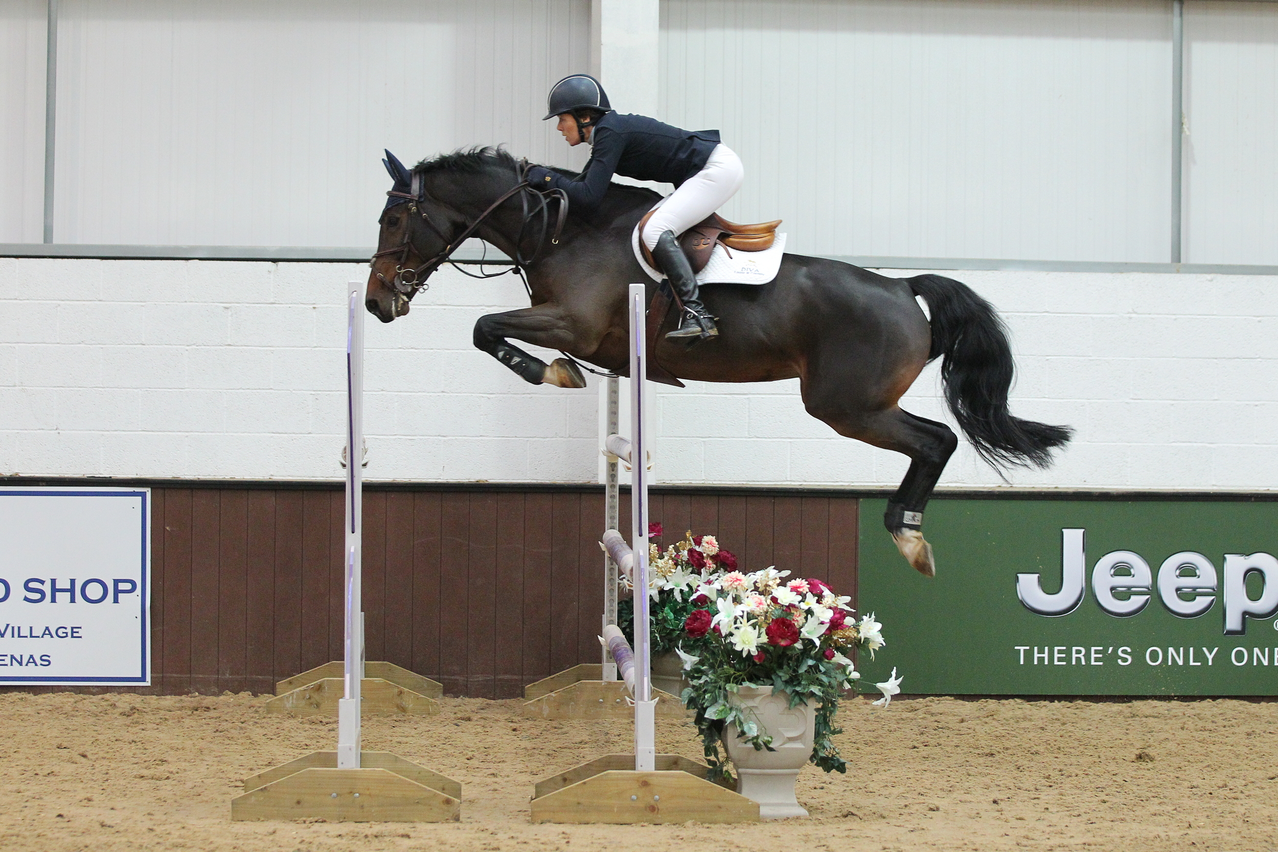 Doonaveeragh Emma - 1.30 Blue Chip B&C Qualifier