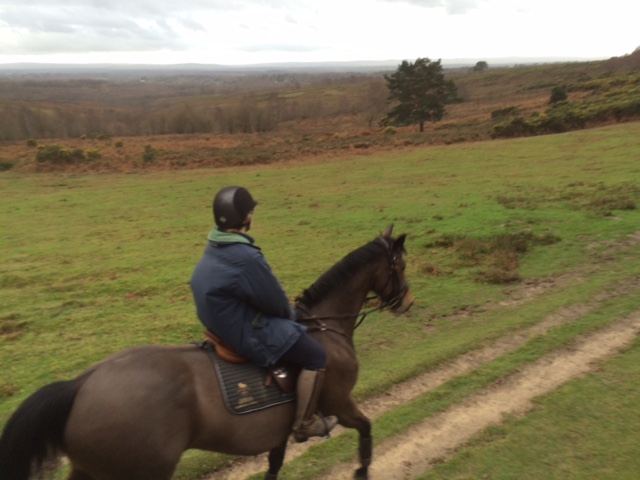 Sophie and Luendi on Ashdown Forest