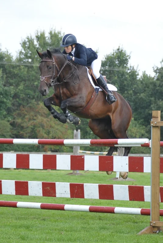 Doonaveeragh Emma - 7 Year Olds Hickstead Derby Show 2014