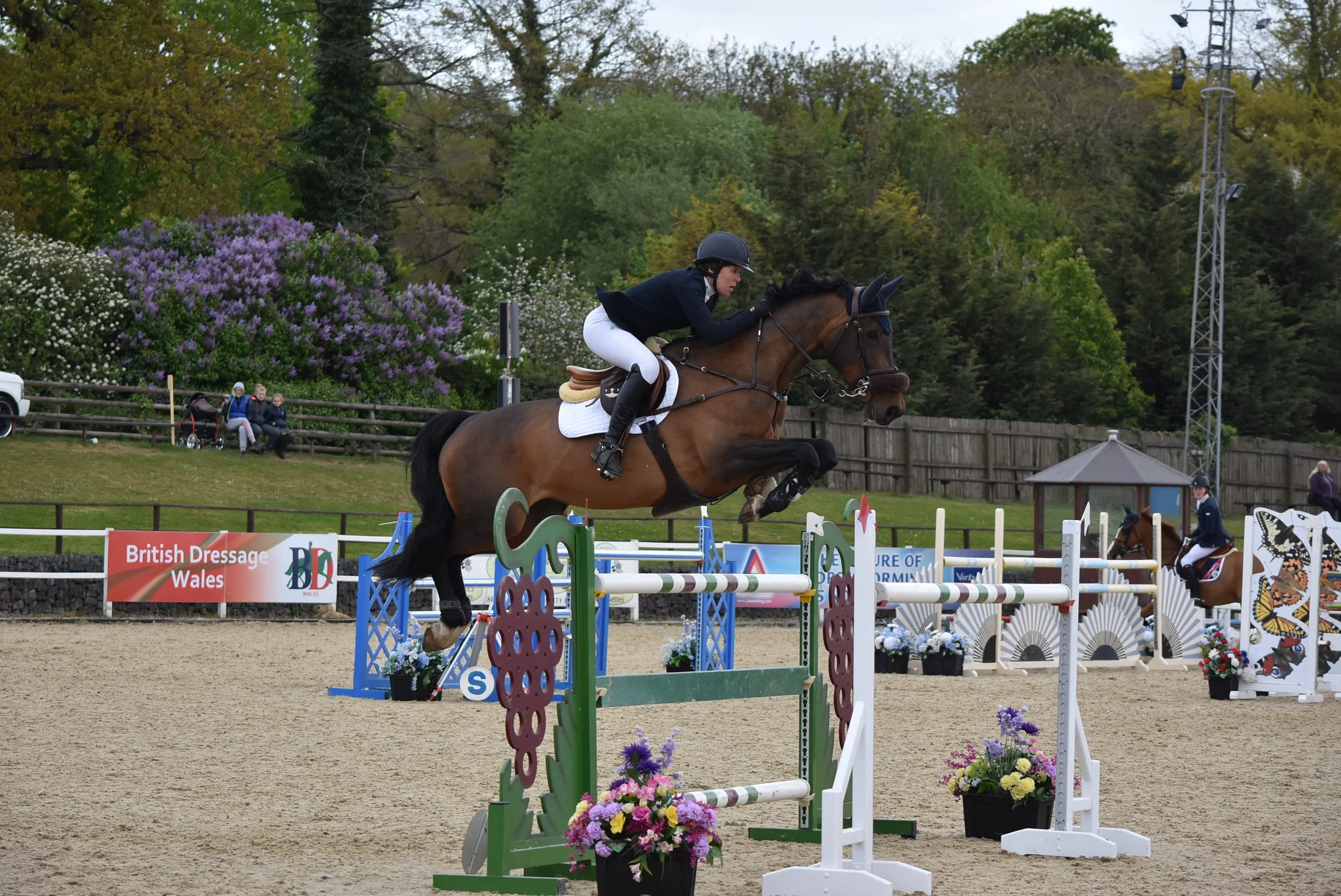 Doonaveeragh Emma - Big Tour - CSI2* Chepstow 2017