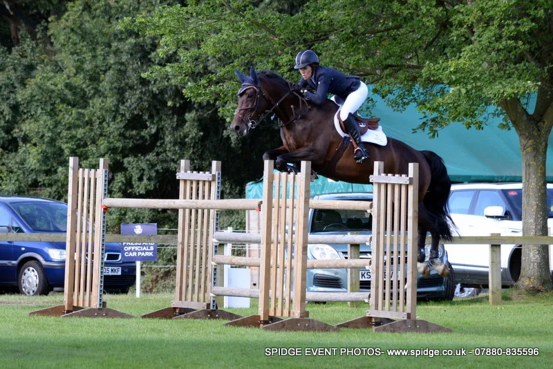 Doonaveeragh Emma - 1.35 Old Lodge Breeding Class RIHS 2015