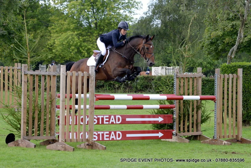 Luendi - Foxhunter - RIHS 2015