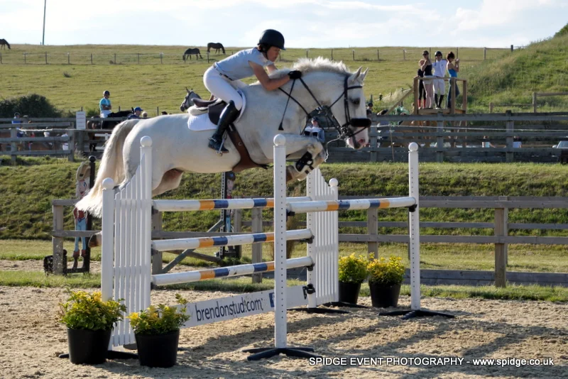 Benny - 1.30 Pyecombe - July 2017