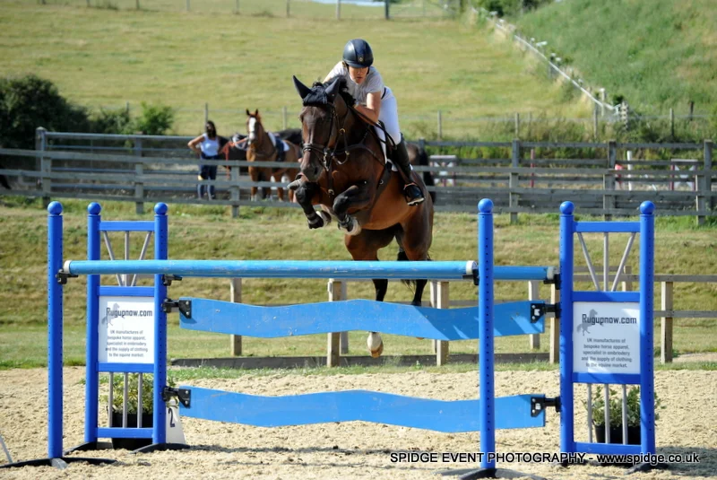 Doonaveeragh Emma - 1.45 Pyecombe July 2017