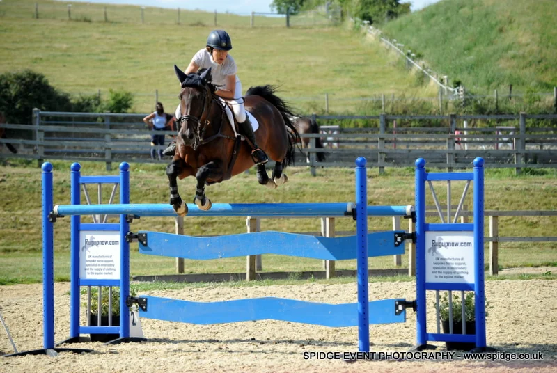 Doonaveeragh Emma - 1.45 Pyecombe July 2017