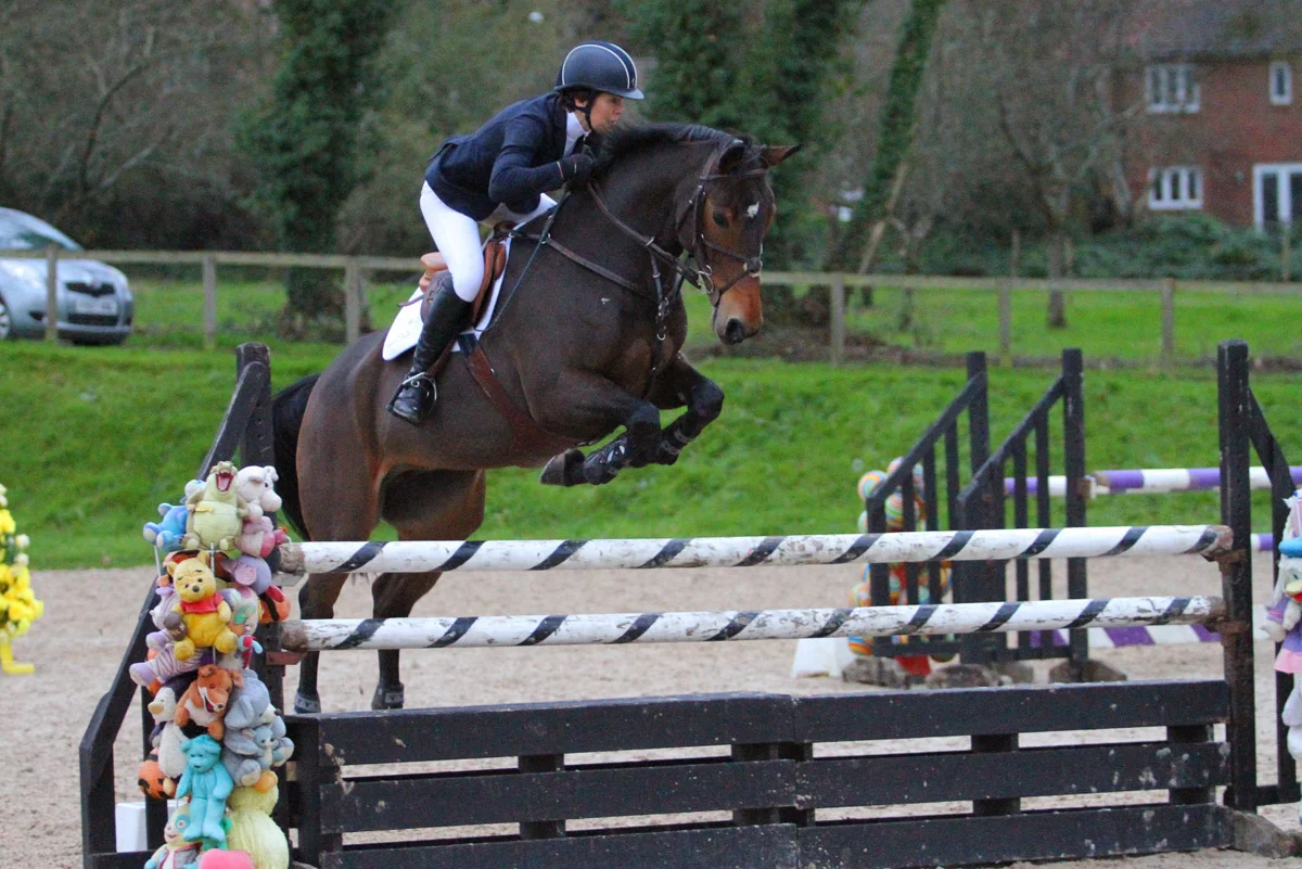 Luendi - Newcomers Felbridge November 2014