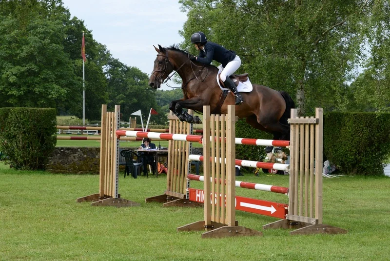 Doonaveeragh Emma - 1.35 Hickstead Derby Show 2015