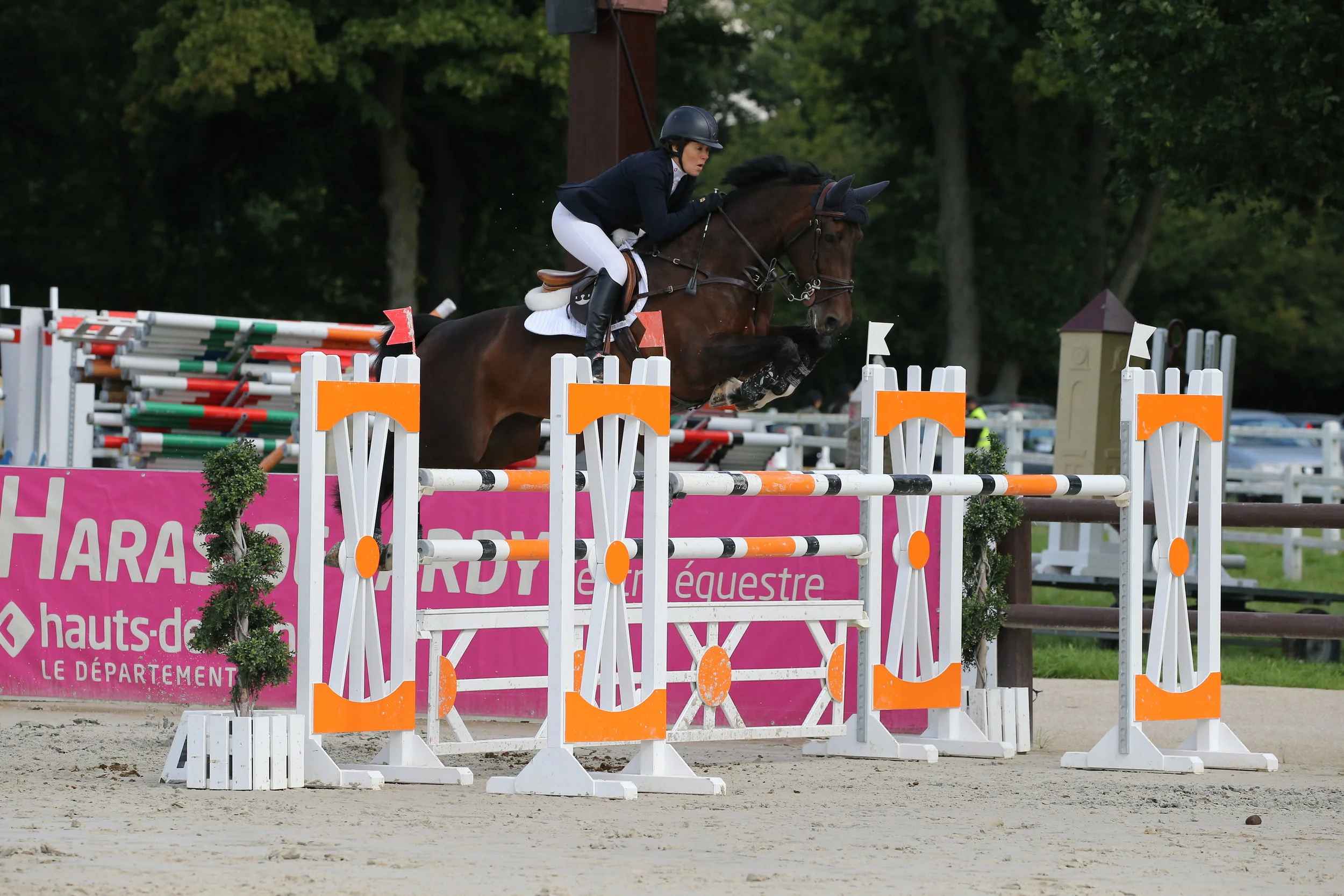 Doonaveeragh Emma Grand Prix CSI1* Jardy 2017 4th