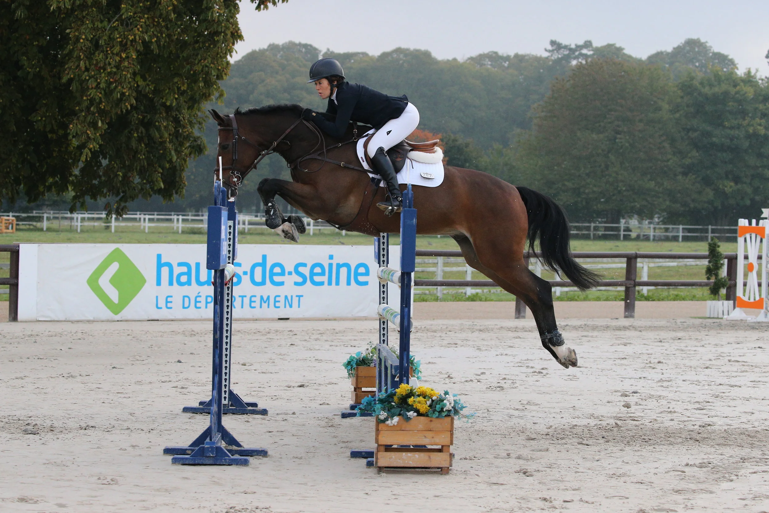 Kvint 1.30 CSI1* Jardy 2017