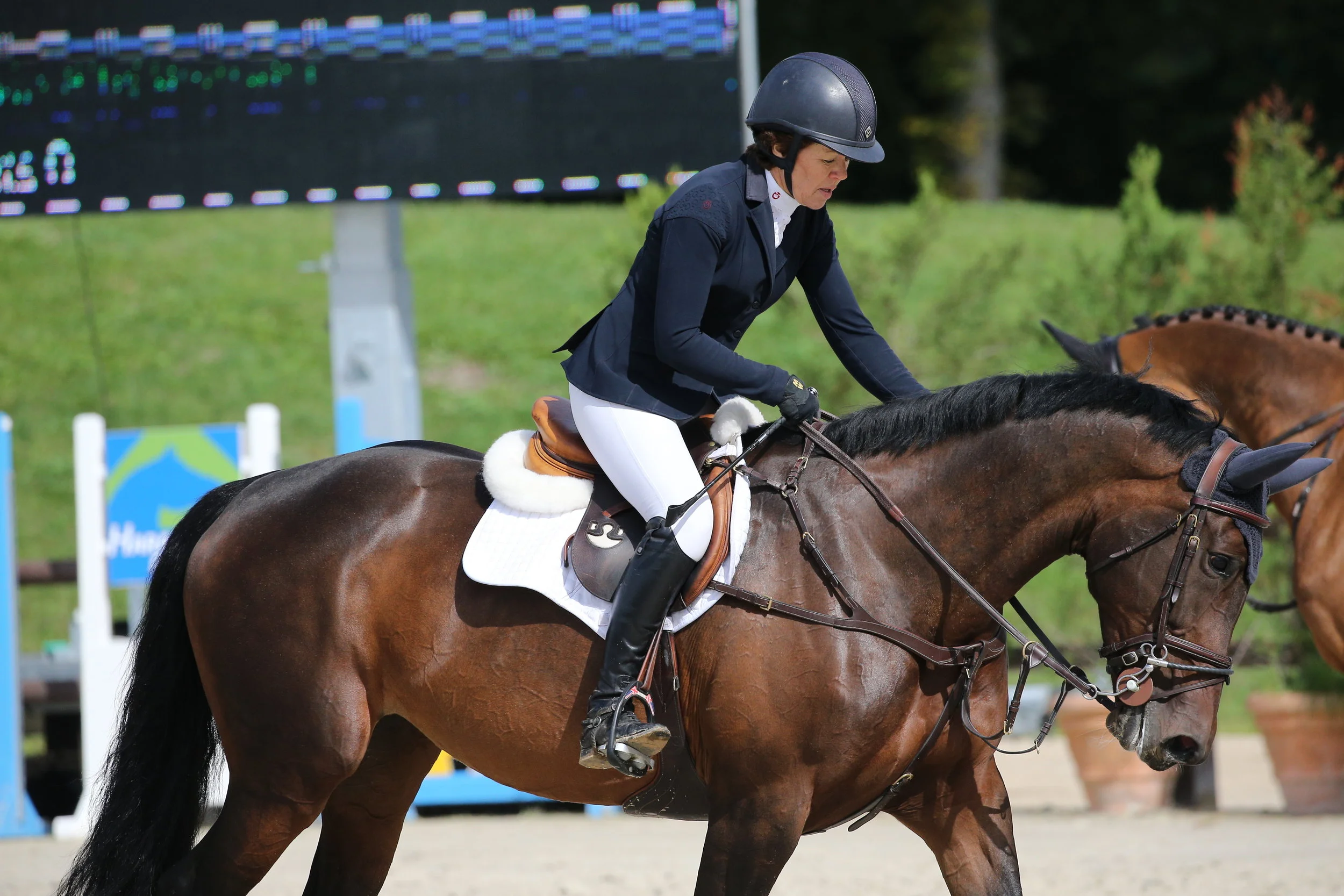 Doonaveeragh Emma Grand Prix Jardy CSI1* 2017