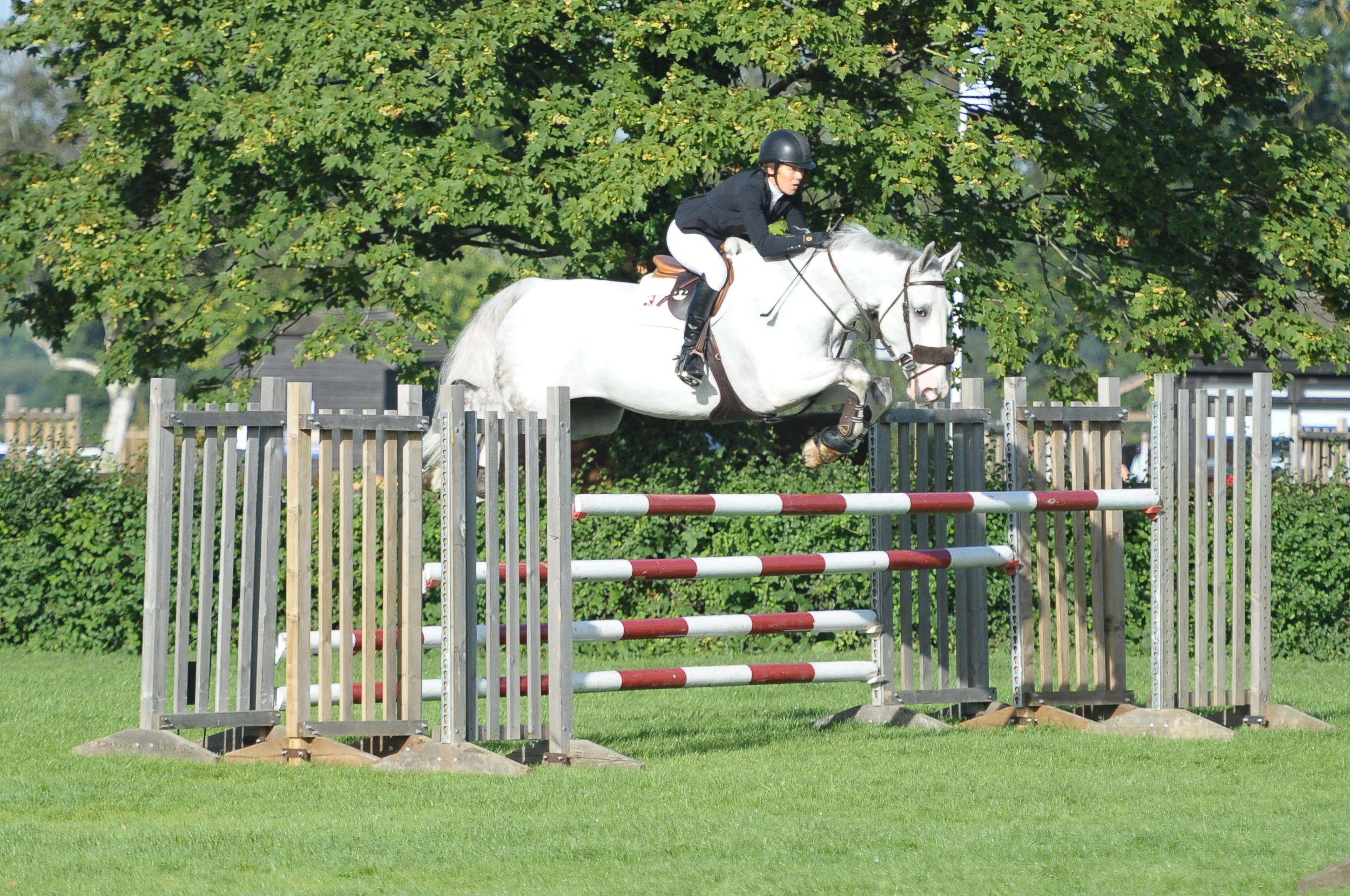 Benny 1.30 Open AEJC 2016