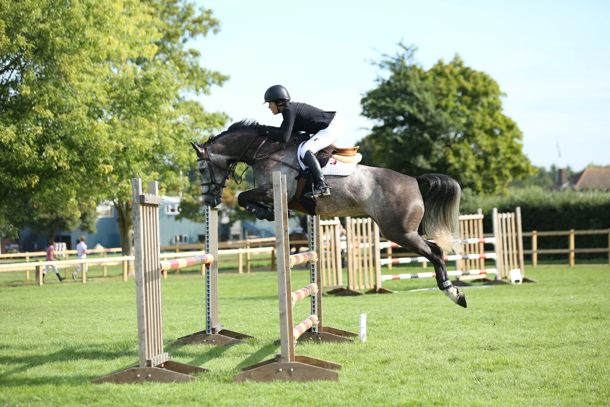 Culana Z - 1.10 - AEJC 2016