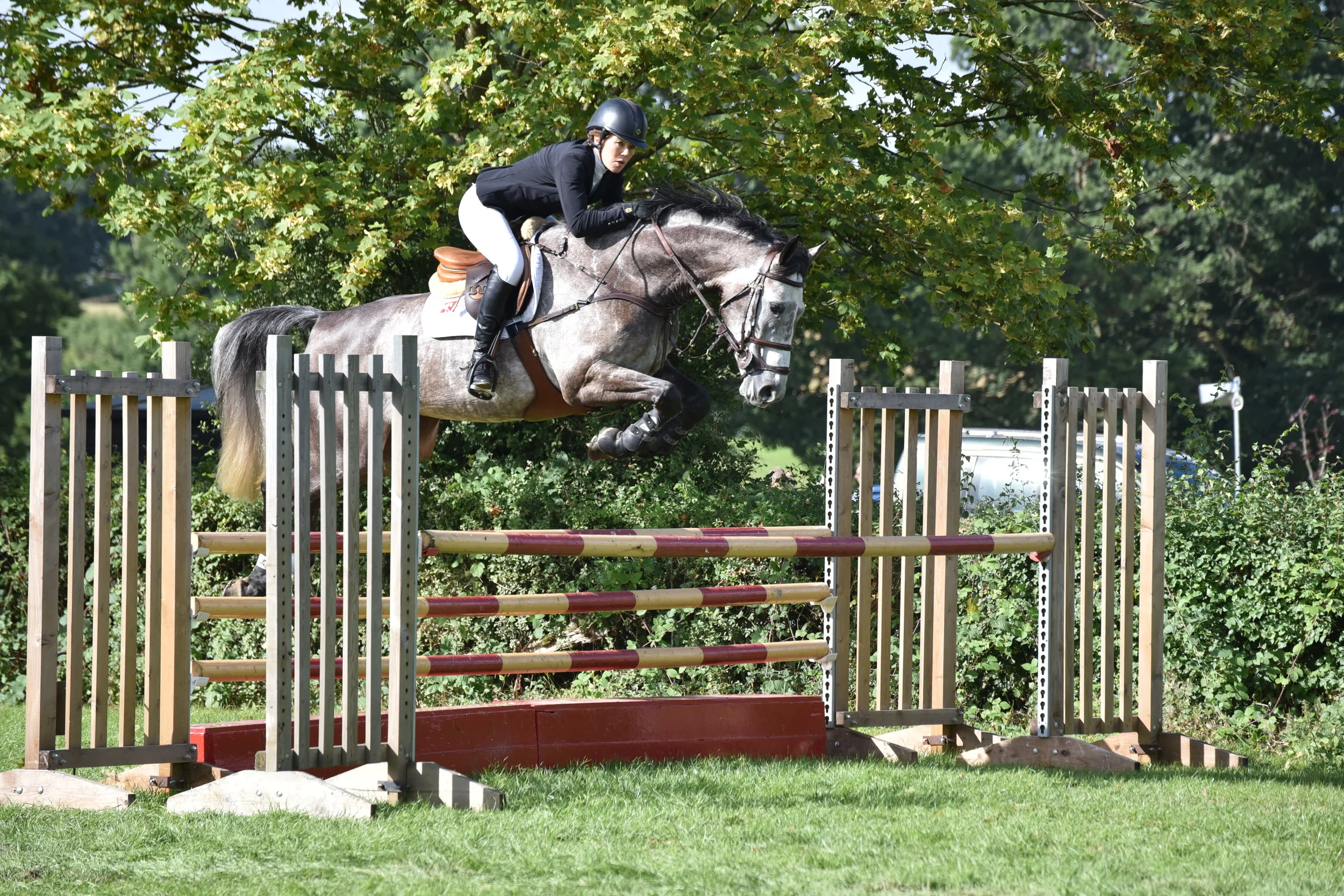 Culana Z - Newcomers - AEJC 2016