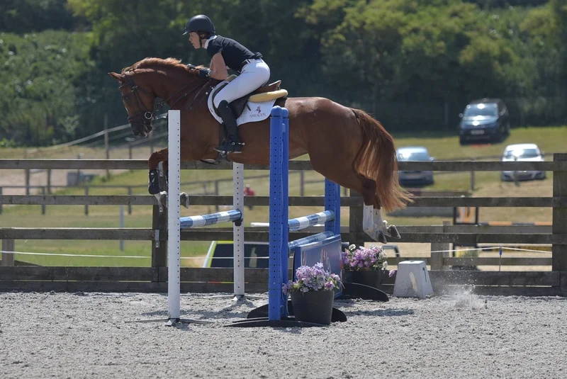 Heidi - British Novice