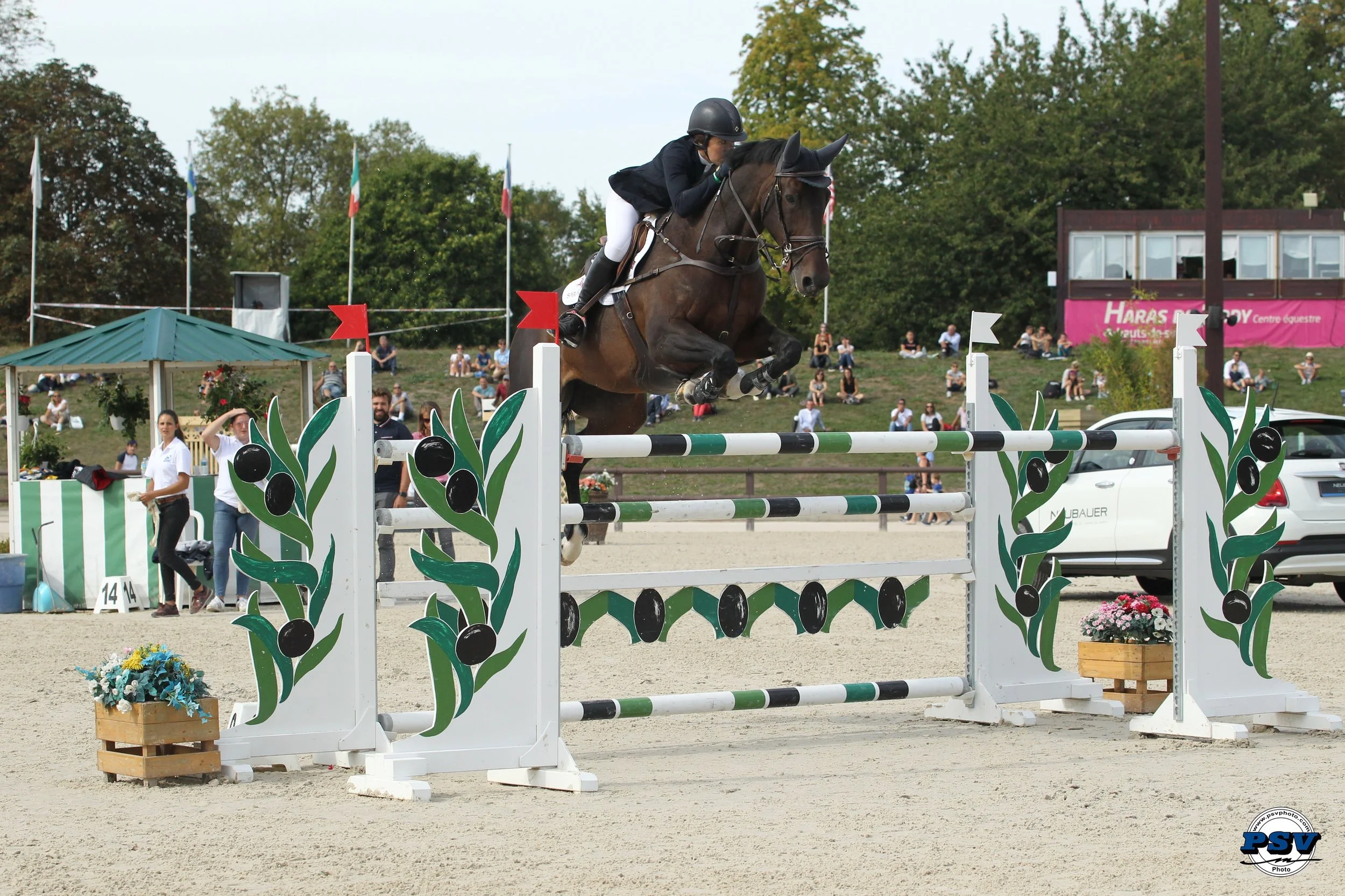 Doonaveeragh Emma - 1.45 Grand Prix CSI2* Jardy