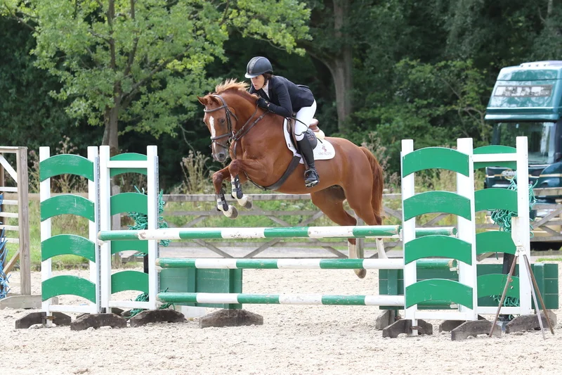 Hurrican Heidi - 1.00m Felbridge