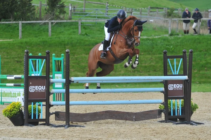 PP1_0617{Paris Arena_-_Class 1 Newcomers 1.10m Open 10am-Finish.jpg