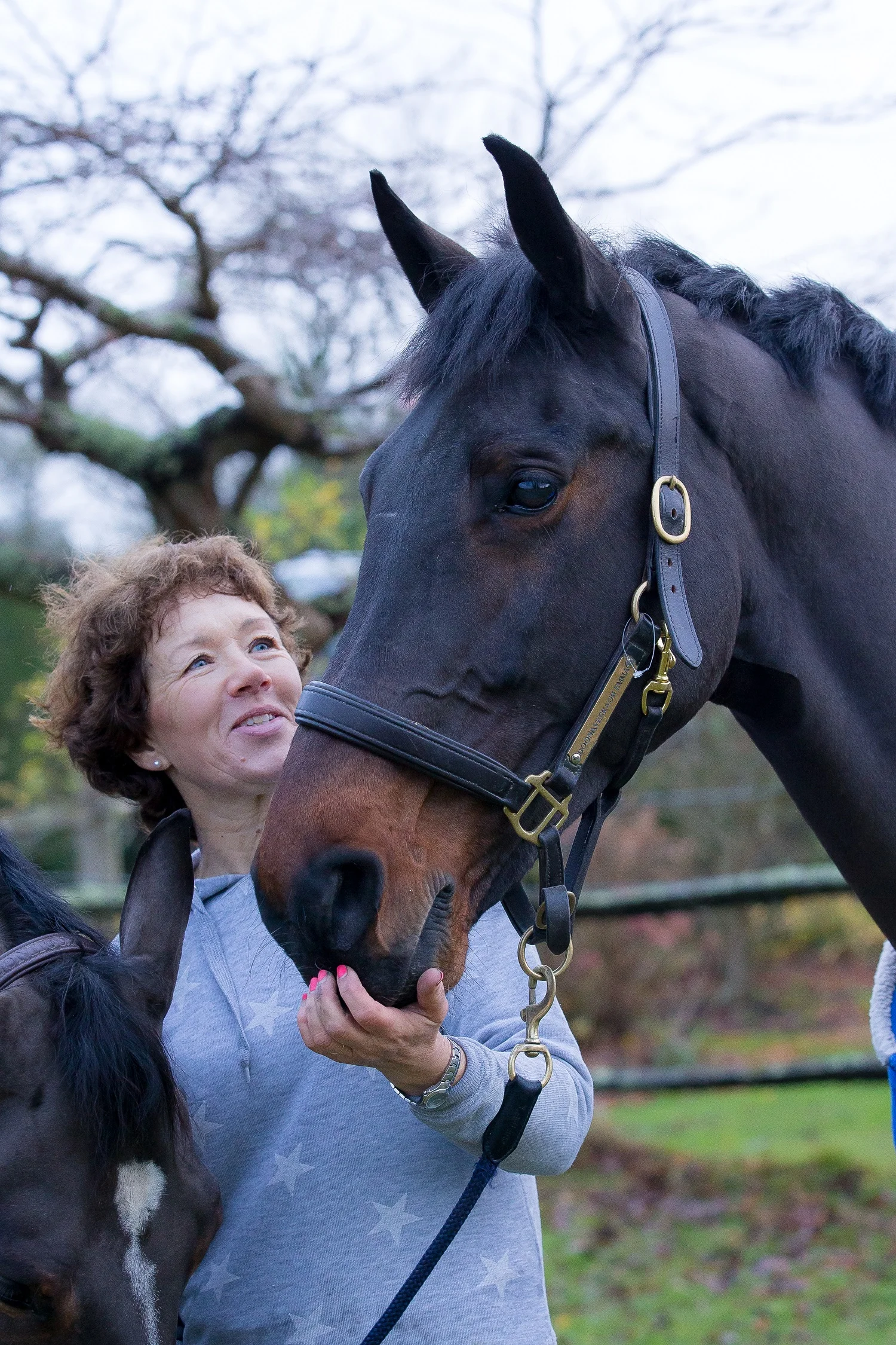 Doonaveeragh Emma - Boots & Hooves Photography