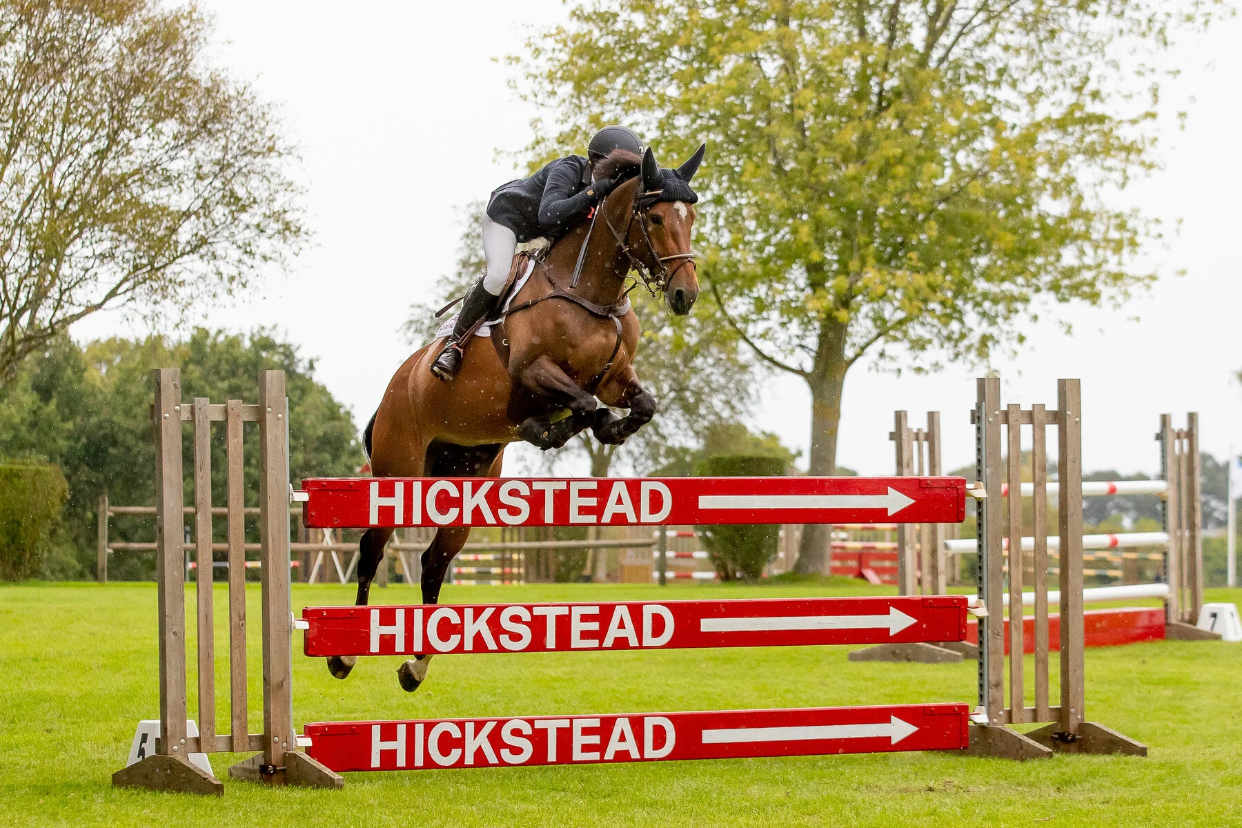 Askeaton - 7 Year Old Qualifier AEJC Hickstead - Photo Elli Birch, Boots and Hooves Photography