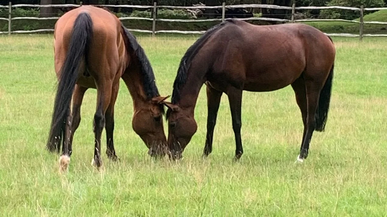 That's it for Summer