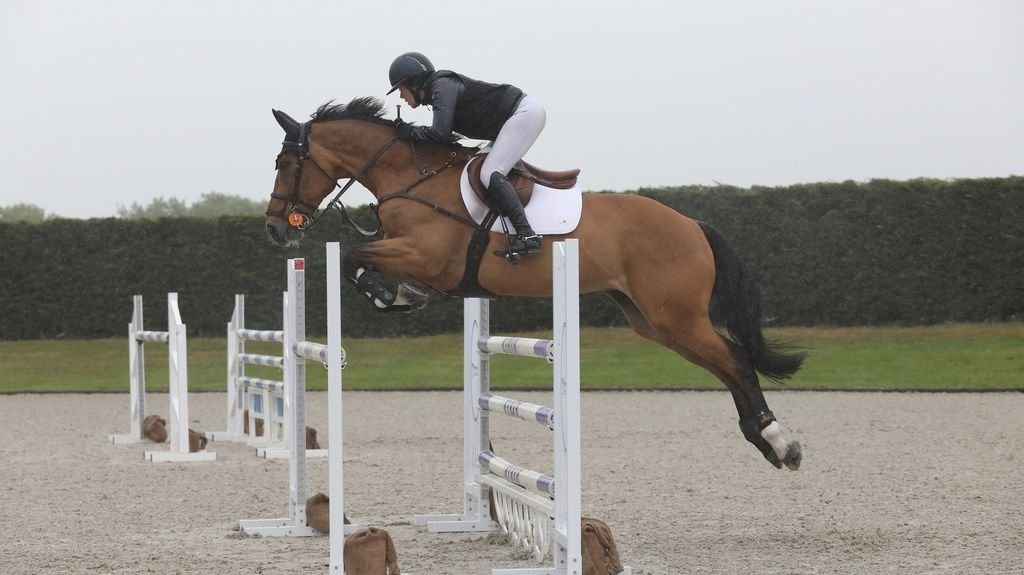 Hascombe &amp; Felbridge May 2022