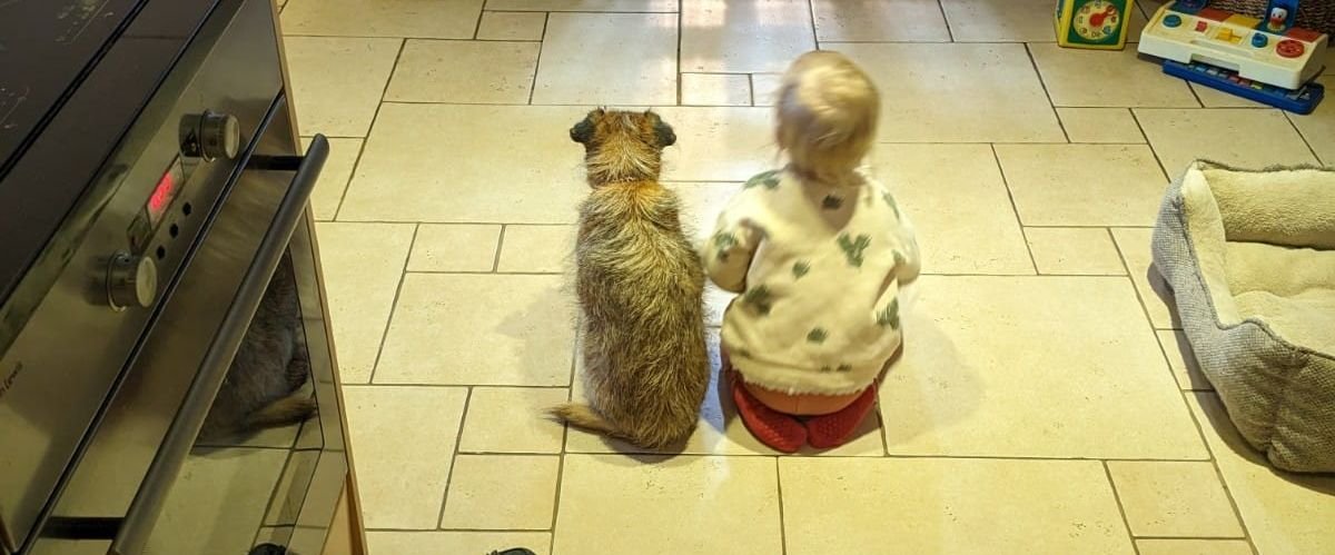 Looking Back at 2022 and Forwards to 2023